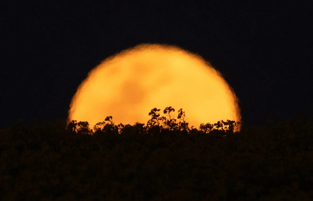 2024 Rural Press Photographer of the Year