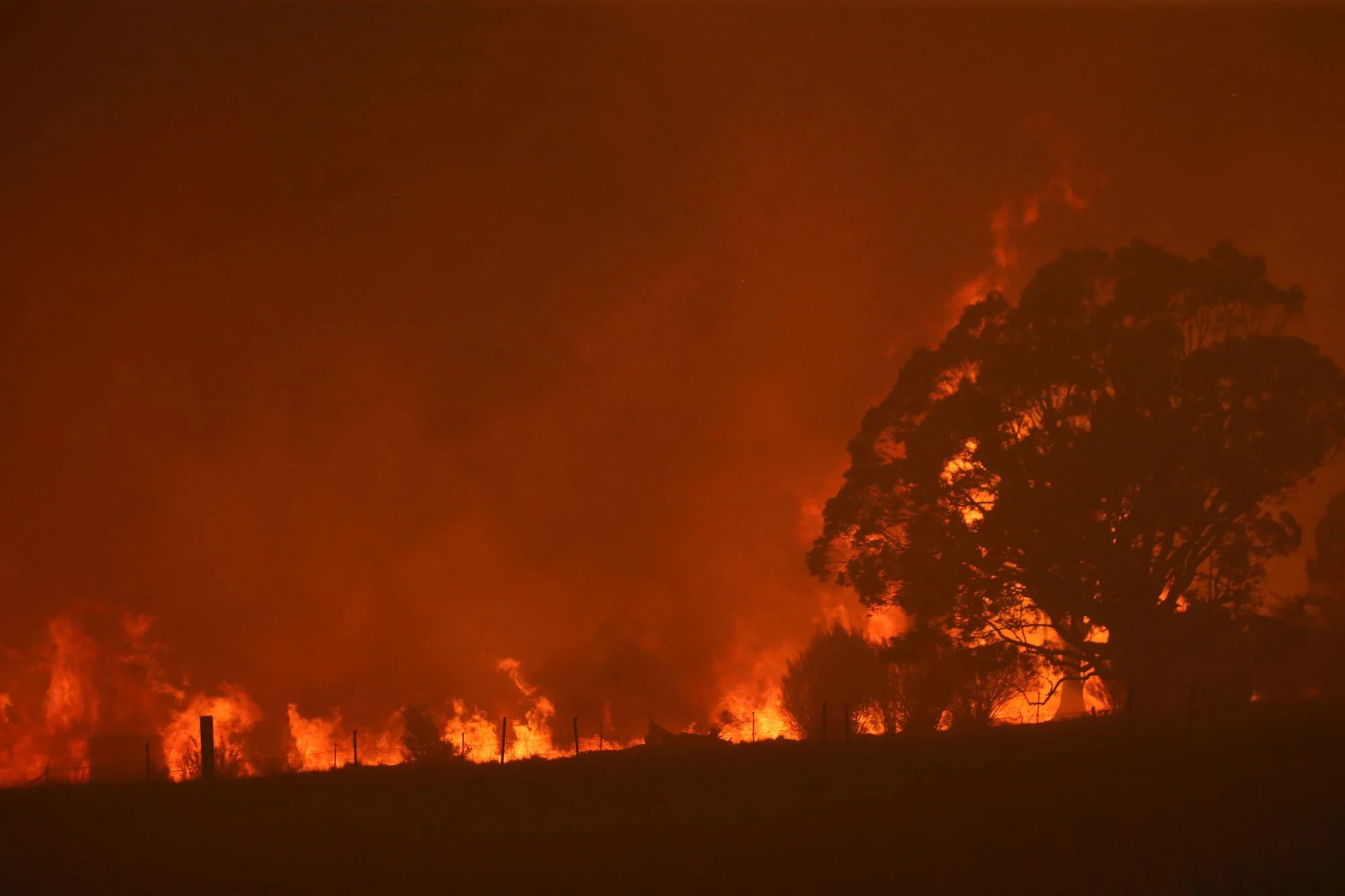  The intensity of the fire turned night to day as the Fire approaches Tallabrook lodge a property along the Bumbalong Road North of Bredbo.   Saturday 1st February 2020. Guardian Australia. 