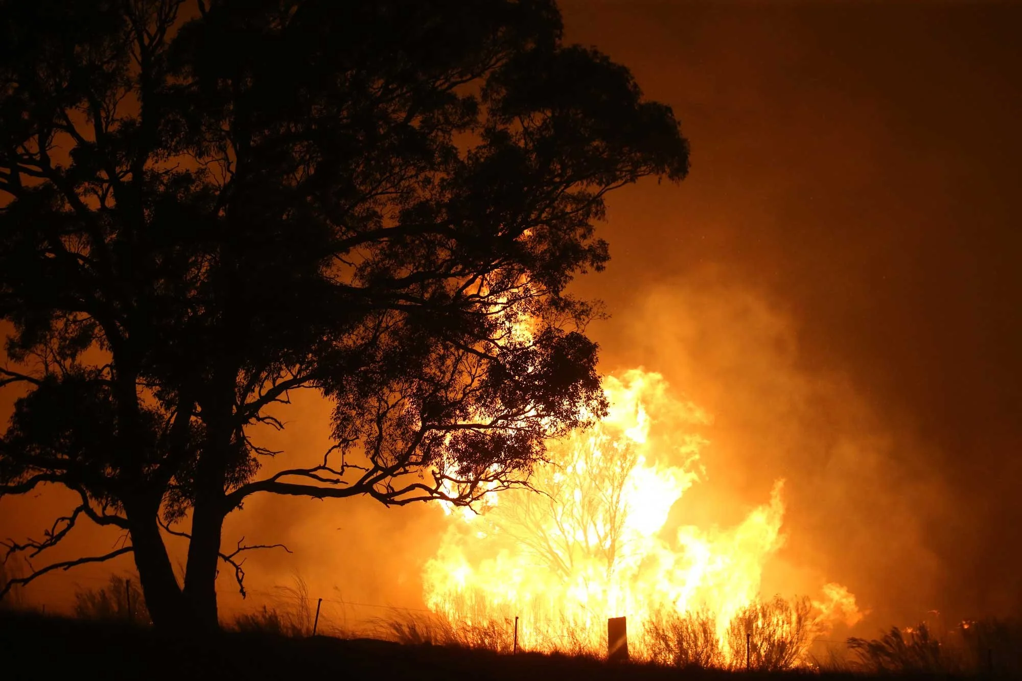  The intensity of the fire turned night to day as the fire front reaches Ti Trees and explodes in a fireball as the&nbsp; Fire approaches Tallabrook lodge a property along the Bumbalong Road North of Bredbo.   Saturday 1st February 2020. Guardian Aus