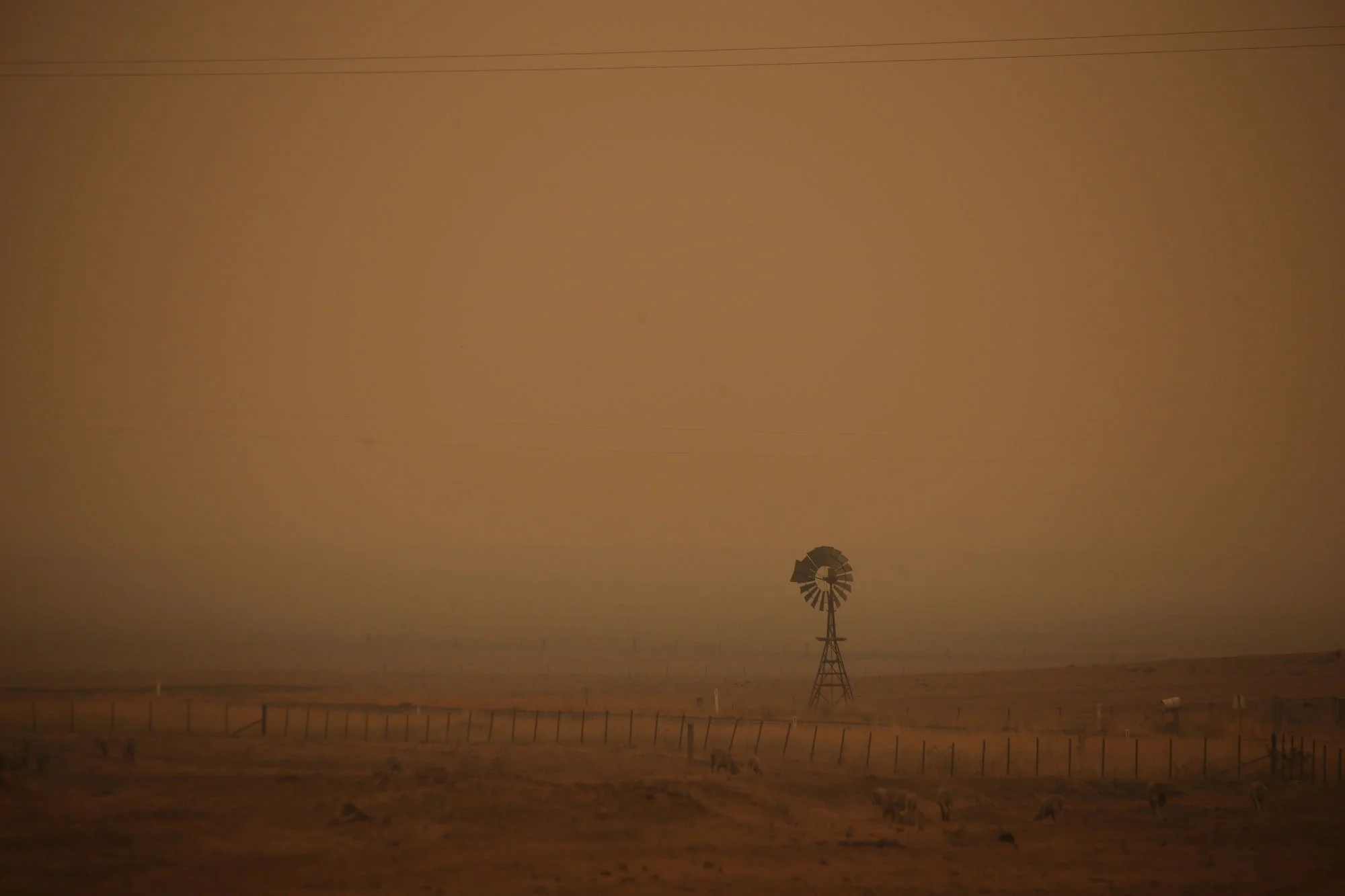  Thick smoke blankets the Monaro high plains west of Cooma this morning .   Sunday 5th January 2020. Guardian Australia. 