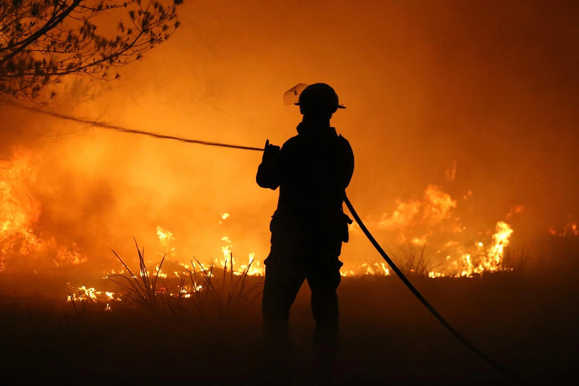  Horsley Park RFS Crew. Horsley Park fire fighter Daniel Knox defends a property near Potato Point on NSW South Coast.   Thursday 23rd January 2020. Guardian Australia. 