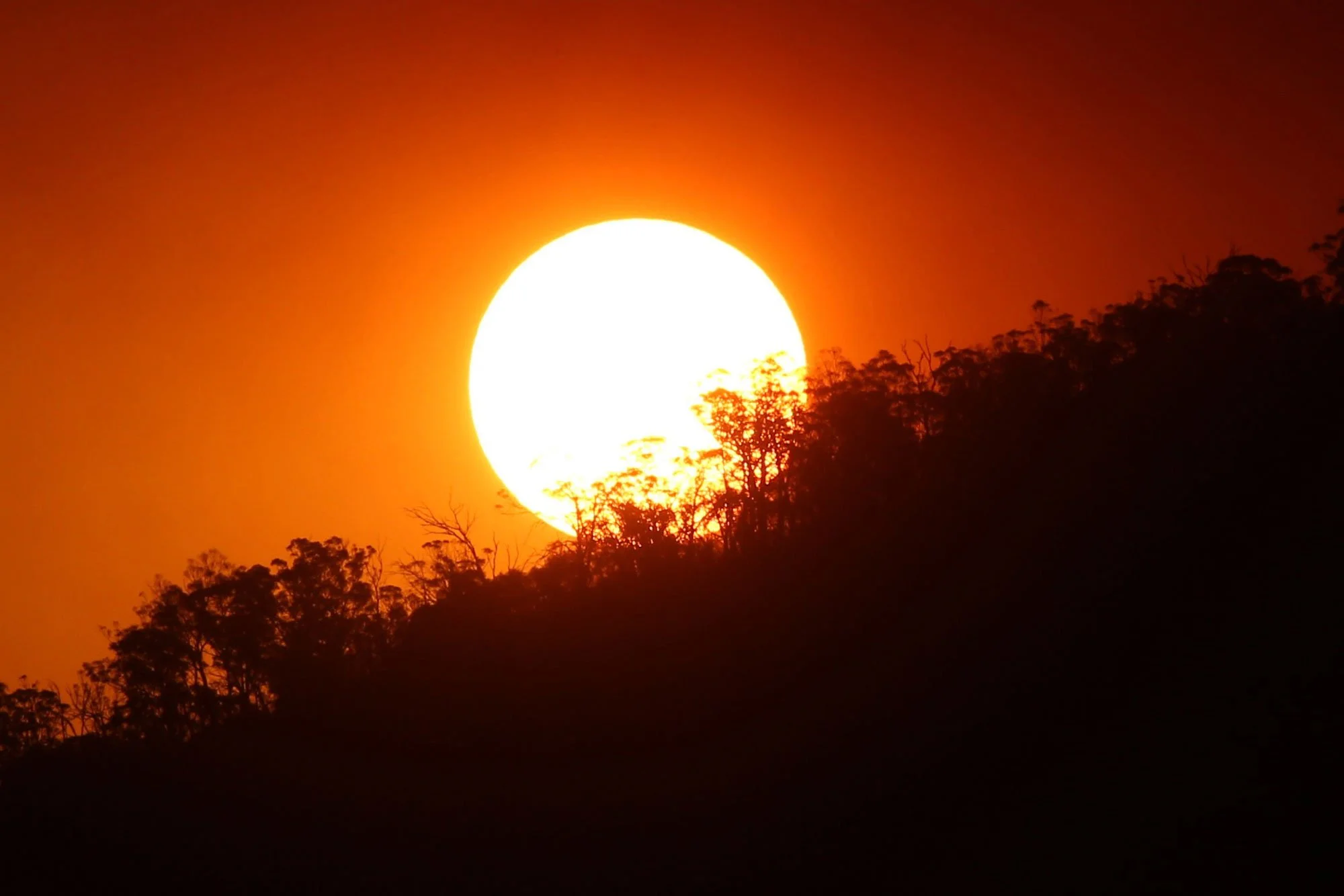  Clear Range Fire. The sun sets on the Clear Range Fire west of Michelago, NSW.  Friday 31st January 2020. Guardian Australia. 