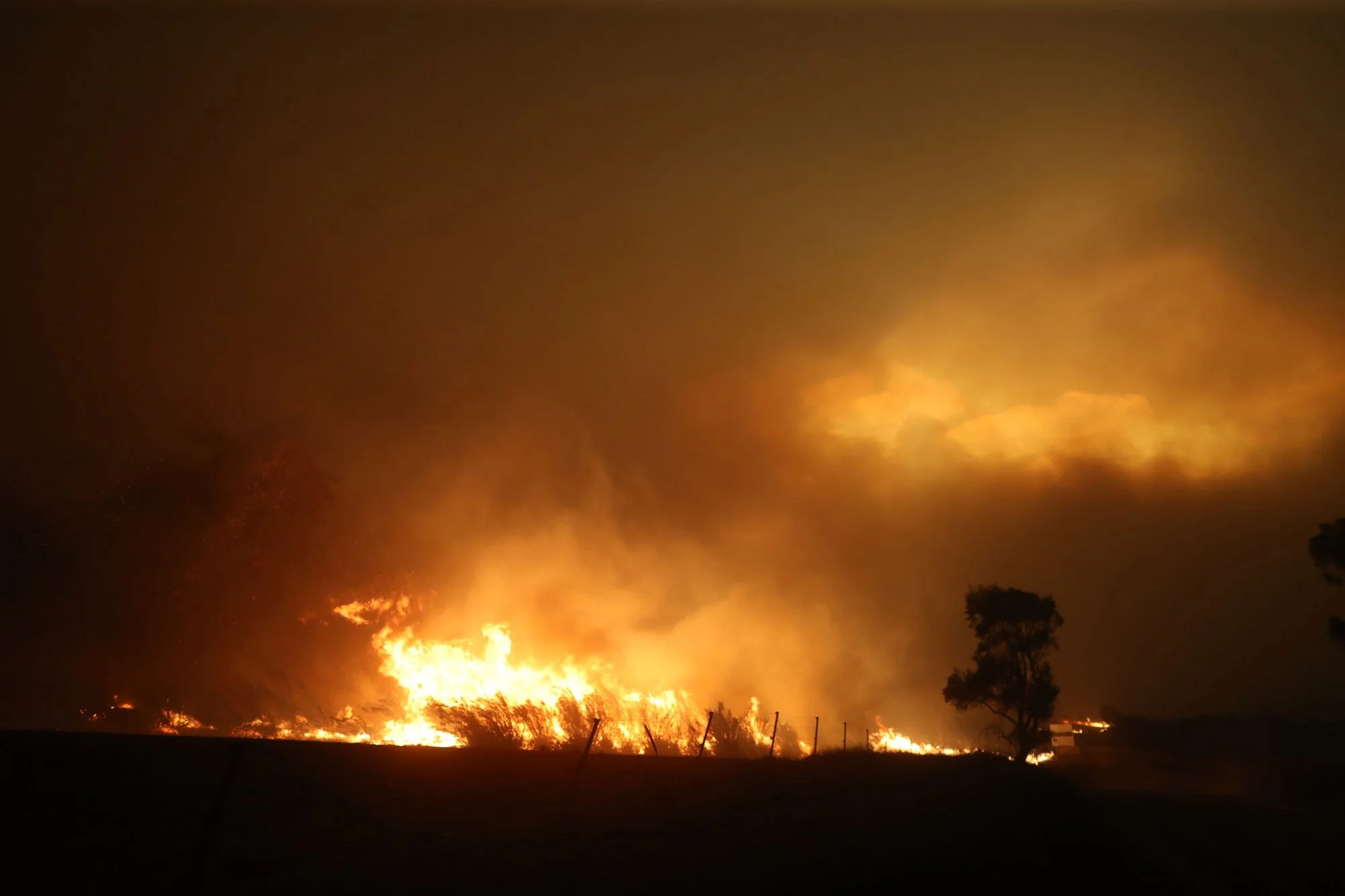  A break in the smoke reveals a glimpse of the pyrocumulus cloud aulubove the fire as the fire explodes into a clump of ti-treew along the Bumbalong Road North of Bredbo.   Saturday 1st February 2020. Guardian Australia. 
