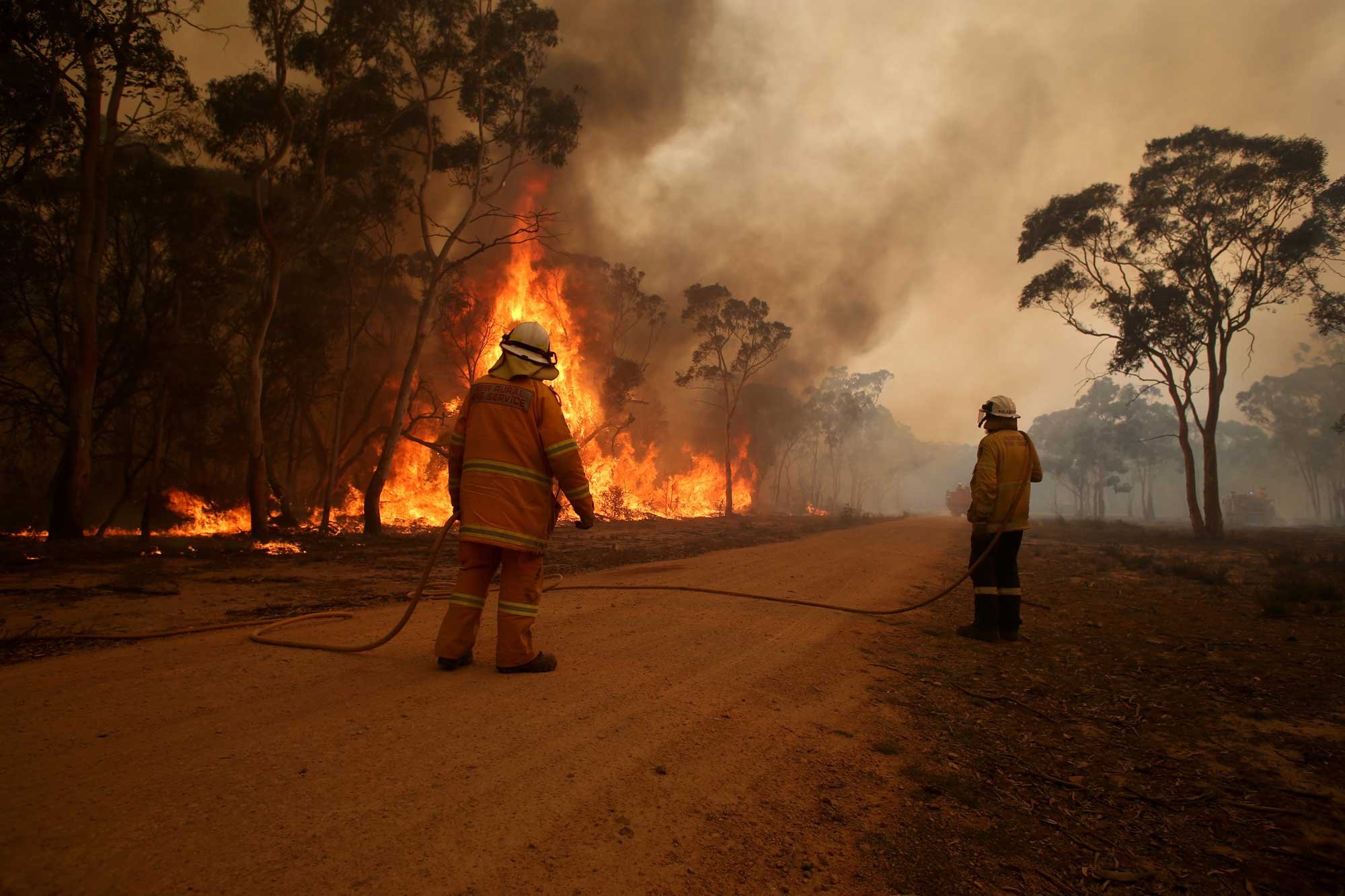  RFS crews conduct a backburn along Jones Road at the North Black Range, Palerang fire North of Braidwood this afternoon.   Tuesday 10th December 2019. Guardian Australia. 