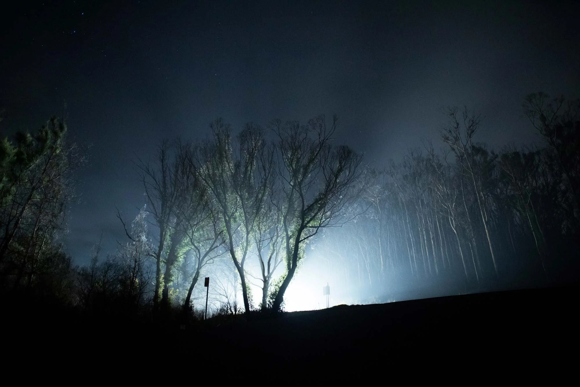  Cars wind their way along the coast road past forests still bearing the black scars of the summer fires now fringed with a beard of new green growth on the South Coast of NSW near Malua Bay.   Tuesday 15th September 2020. Guardian Australia. Story b