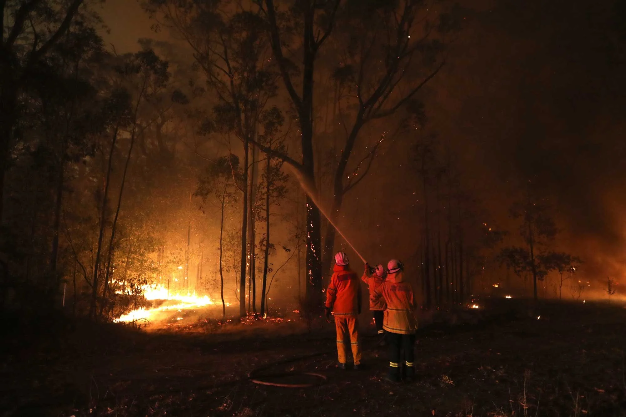  Flames impacting properties along the Sussex inlet road, south of Nowra this evening.   Tuesday 31st December 2019. Guardian Australia. 