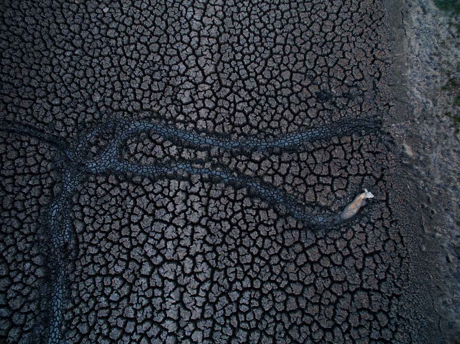 Menindee Lakes system