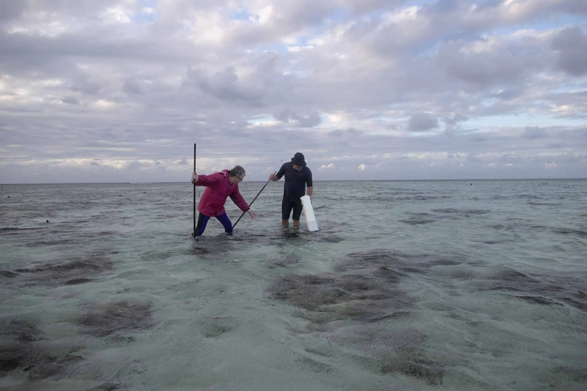 Checking on the extent of coral bleaching