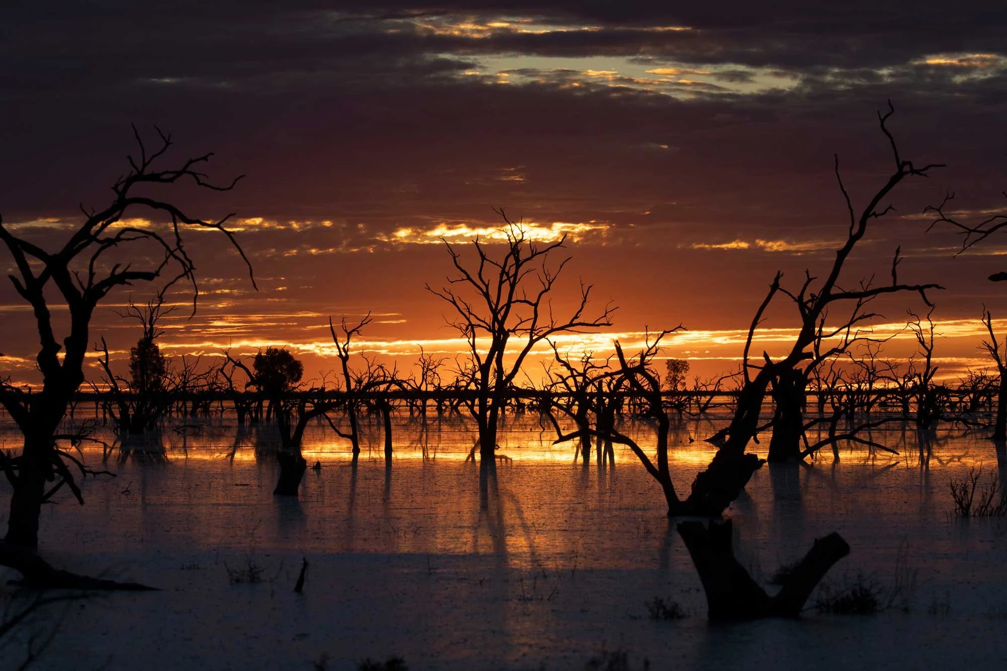 Sunset over Menindee Lake