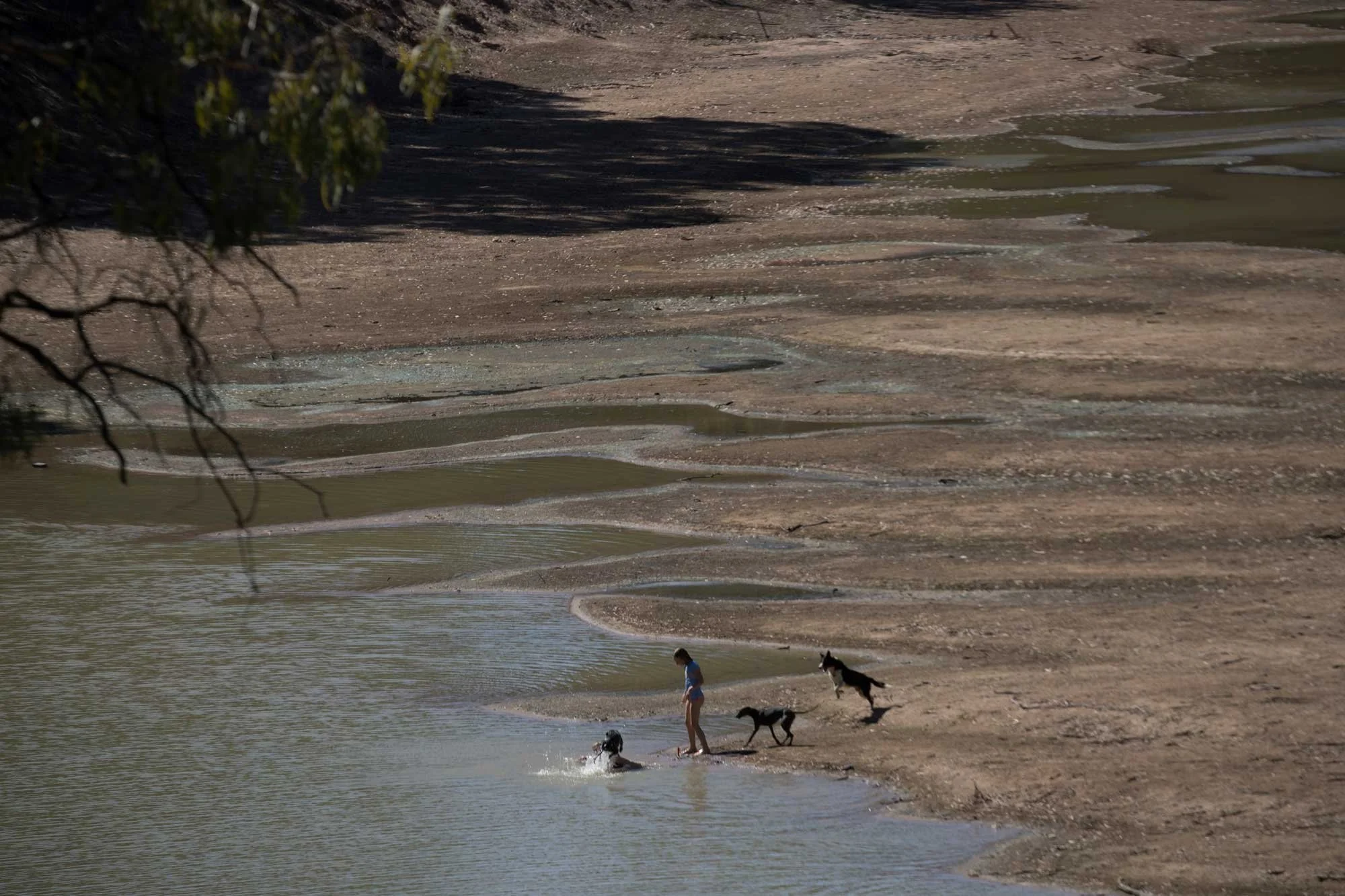 The Darling River at Louth NSW has ceased to flow due to drought