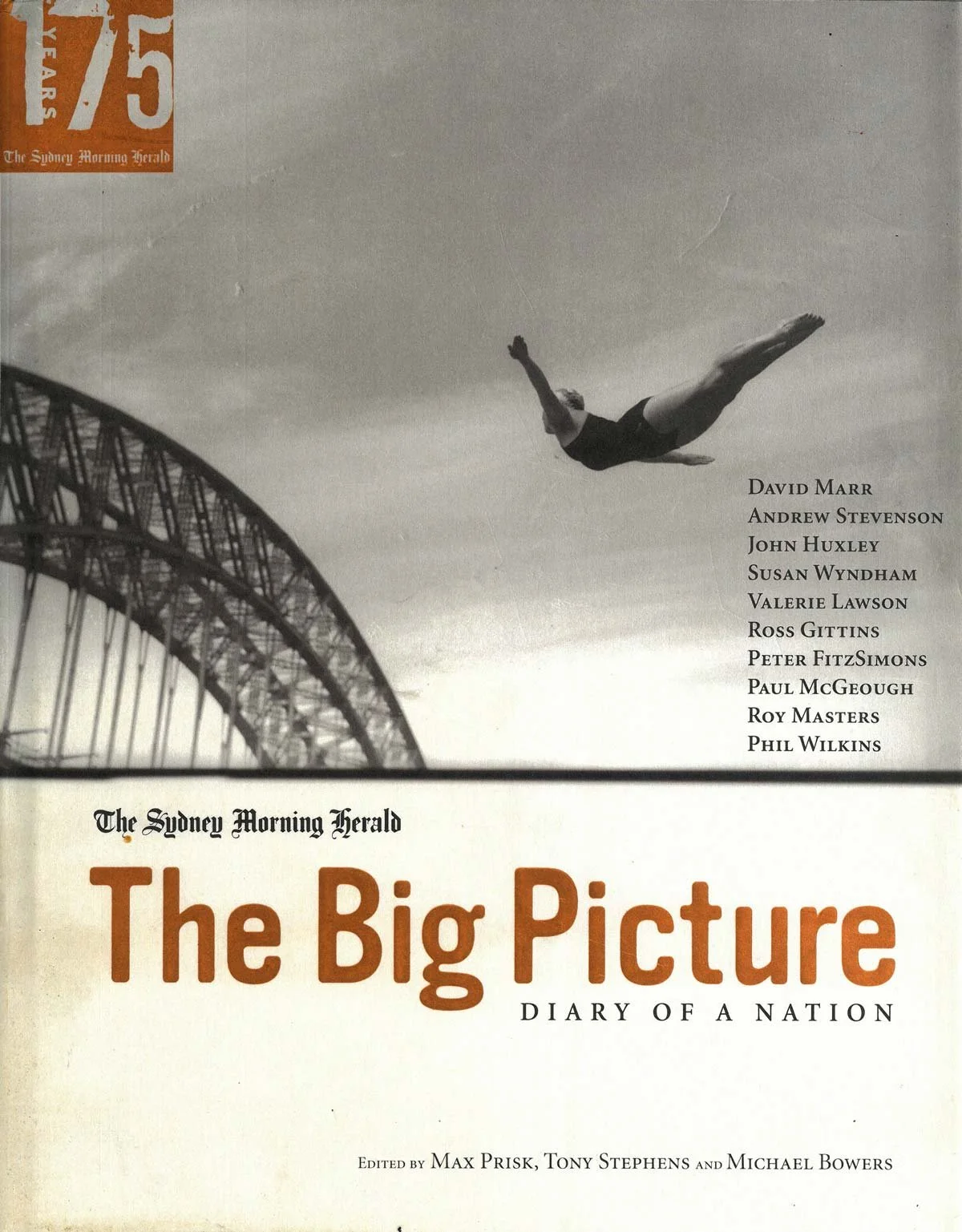 Book cover for The Big Picture Edited by Max Prisk, Tony Stephens and Michael Bowers