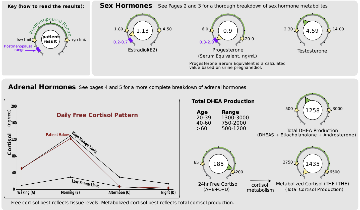 A detailed infographic displaying information about sex and adrenal hormones, including charts, key measurements, and interpretations. The top section shows sex hormone levels for estradiol, progesterone, and testosterone, each depicted with gauge-like visuals. The middle section provides cortisol patterns with a line graph illustrating daily free cortisol levels and reference limits. The right side features gauges showing total DHEA production across different age groups, total cortisol production, and cortisol metabolism, with numerical data and explanations.