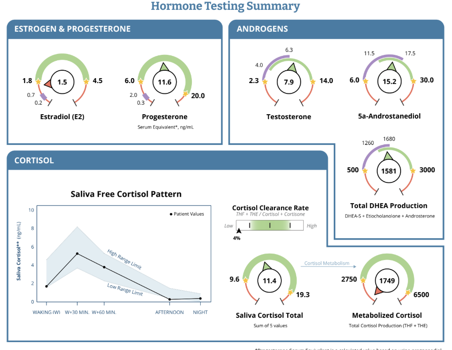 Summary of hormone testing results including estrogen, progesterone, androgens, cortisol, and cortisol metabolism, with various measurements and patterns shown in charts and gauges.