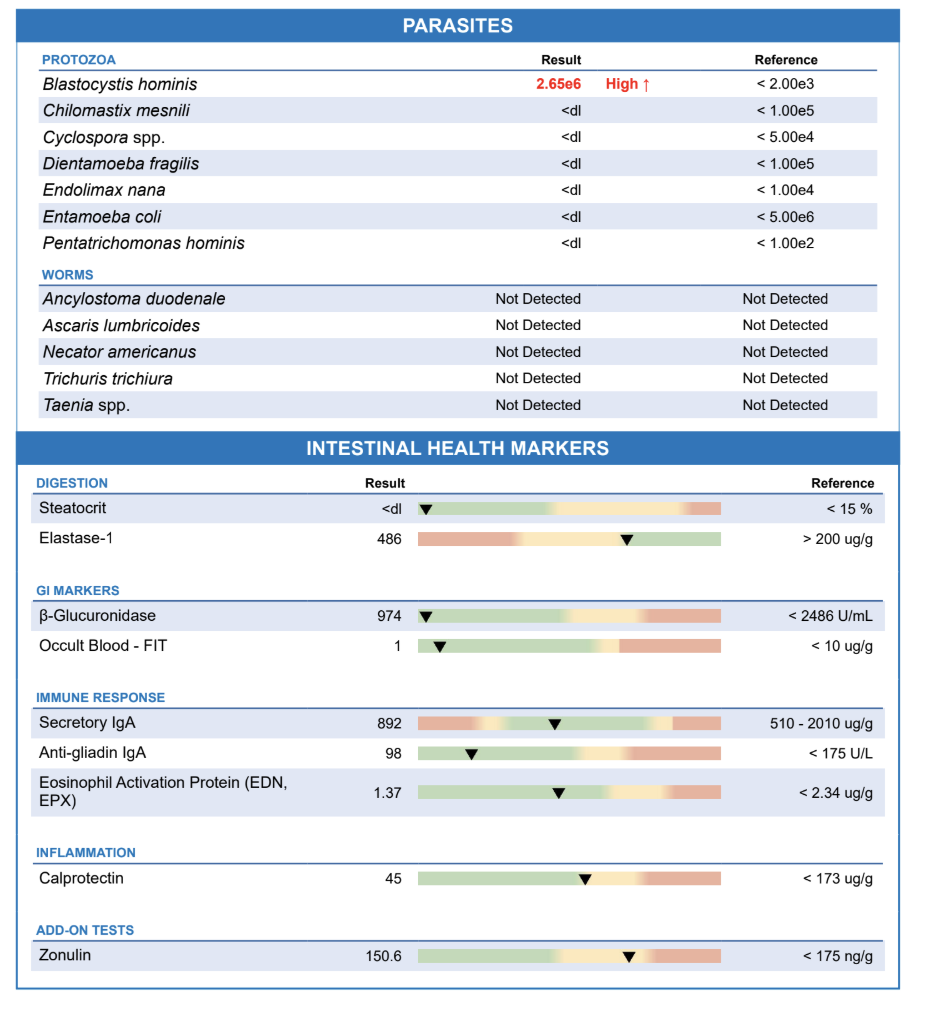 Table displaying test results for parasites, intestinal health markers, immune response, inflammation, and add-on tests, with values indicating high, low, or normal levels.