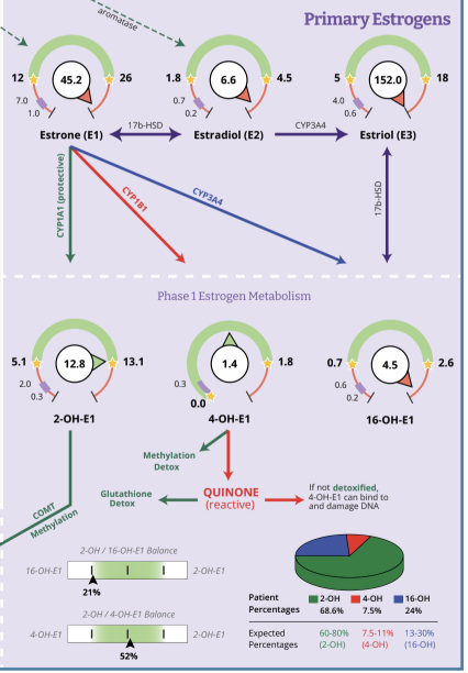 Diagram illustrating estrogen metabolism and pathways of primary estrogen hormones, including Estrone, Estradiol, and Estriol, with enzymatic conversions, methylation, detoxification, and a pie chart of patient percentages by estrogen levels.