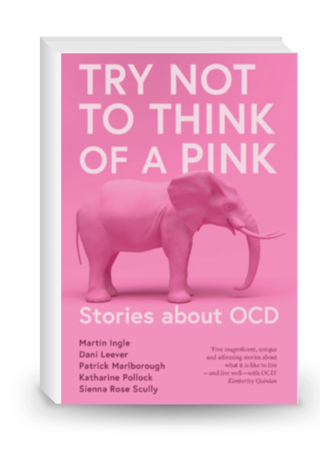 Try Not to Think of a Pink Elephant