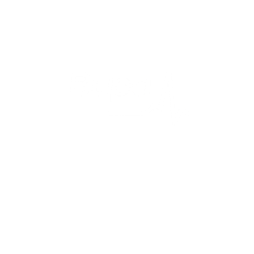 Bupa Health Insurance logo in a white circle
