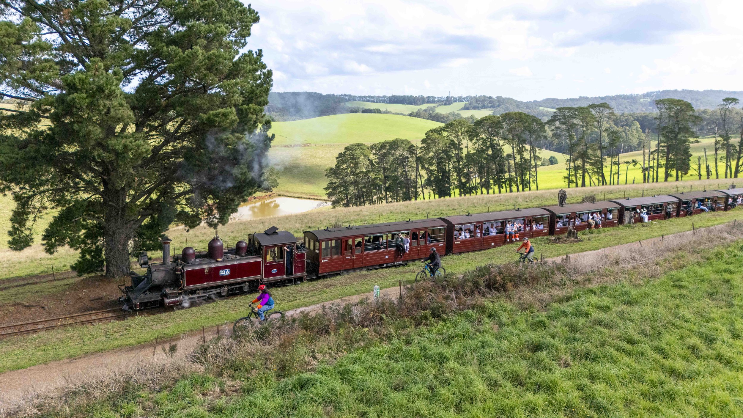 The Puffing Billy races alongside cyclists.