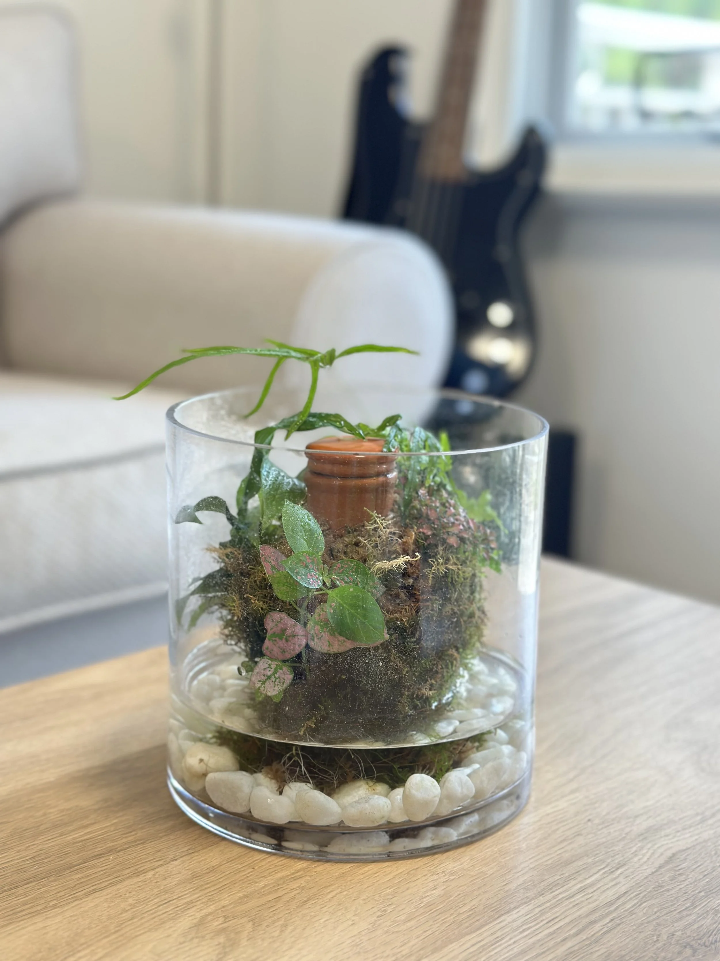 Self-watering moss garden1.jpg