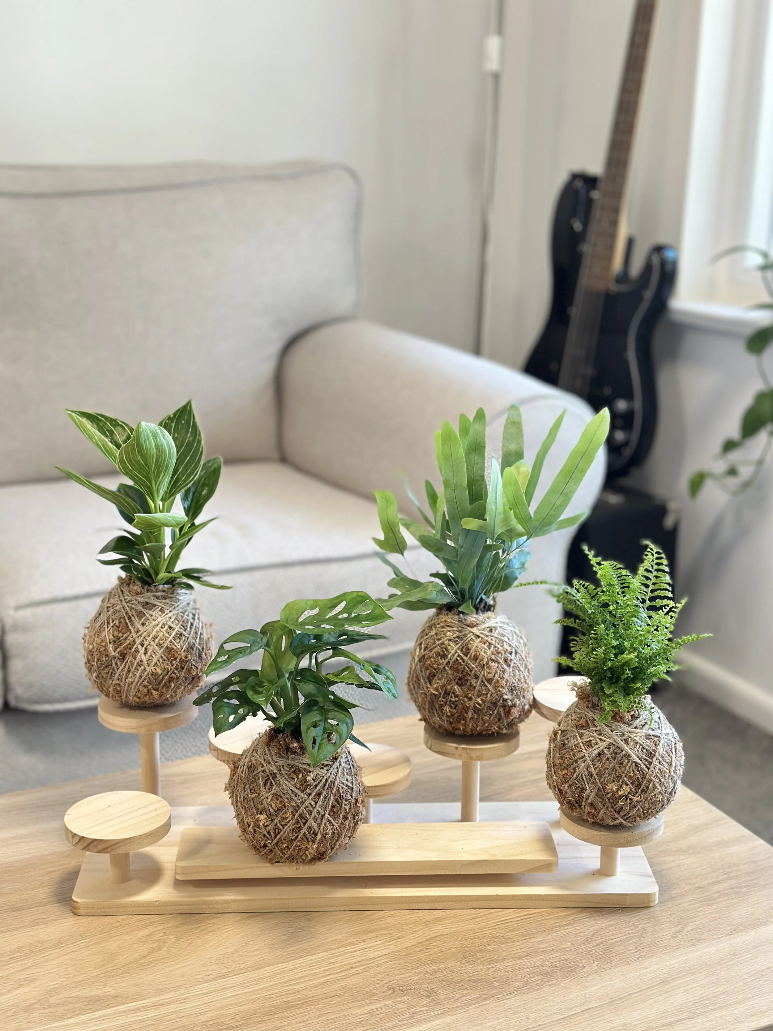 Four handcrafted kokedama plants including Philodendron Birkin, Monstera Swiss Cheese, Blue Star Fern and Boston Fern displayed on wooden stands on a light wooden table in a bright living room