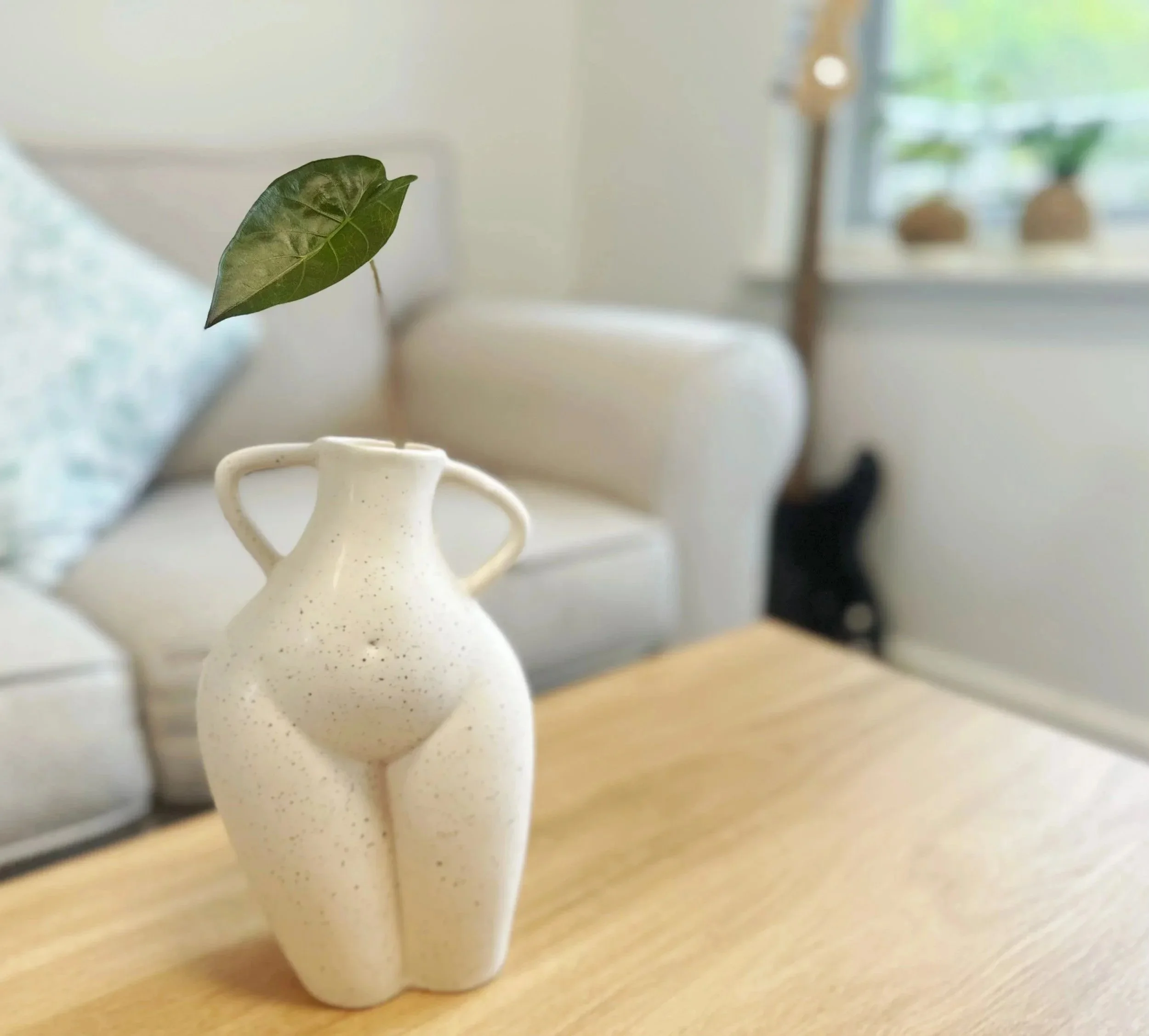 A small off-white ceramic vase with an indoor plant, placed on a wooden table in a bright room with a beige sofa and a window in the background.