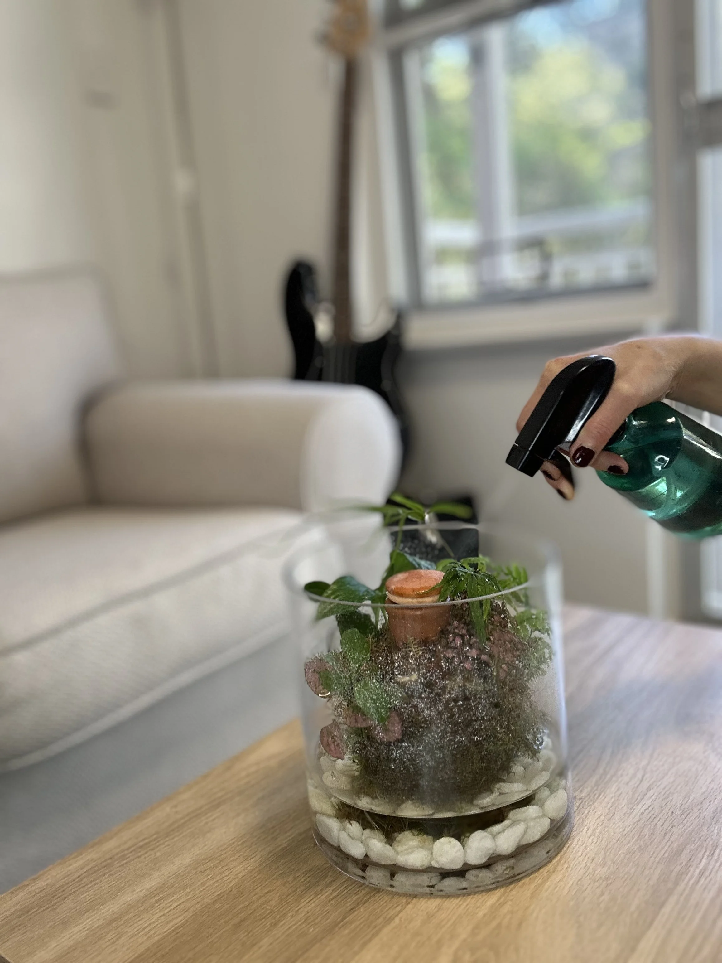 moss garden spray.jpg