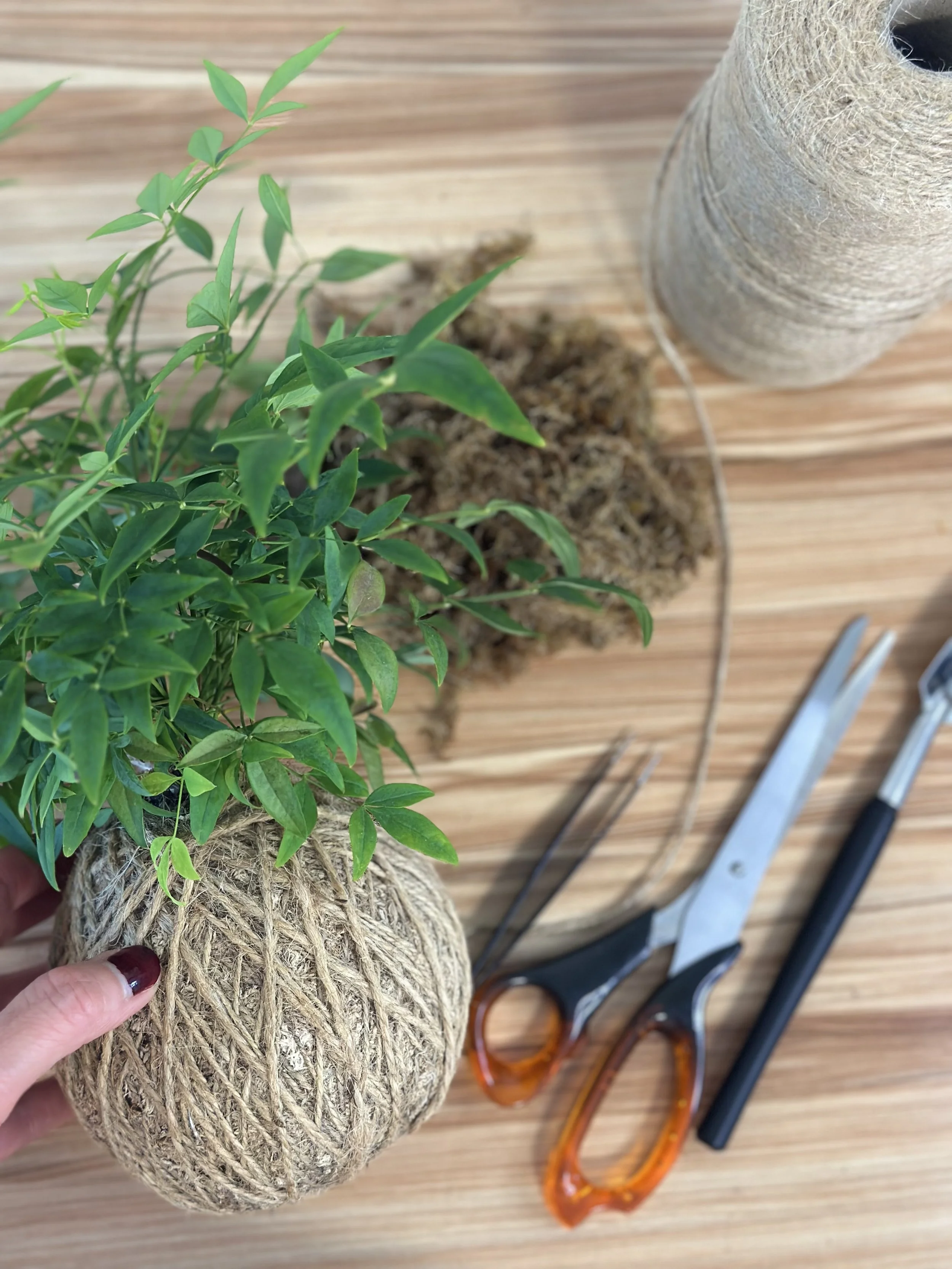 workshop poster photo.jpg