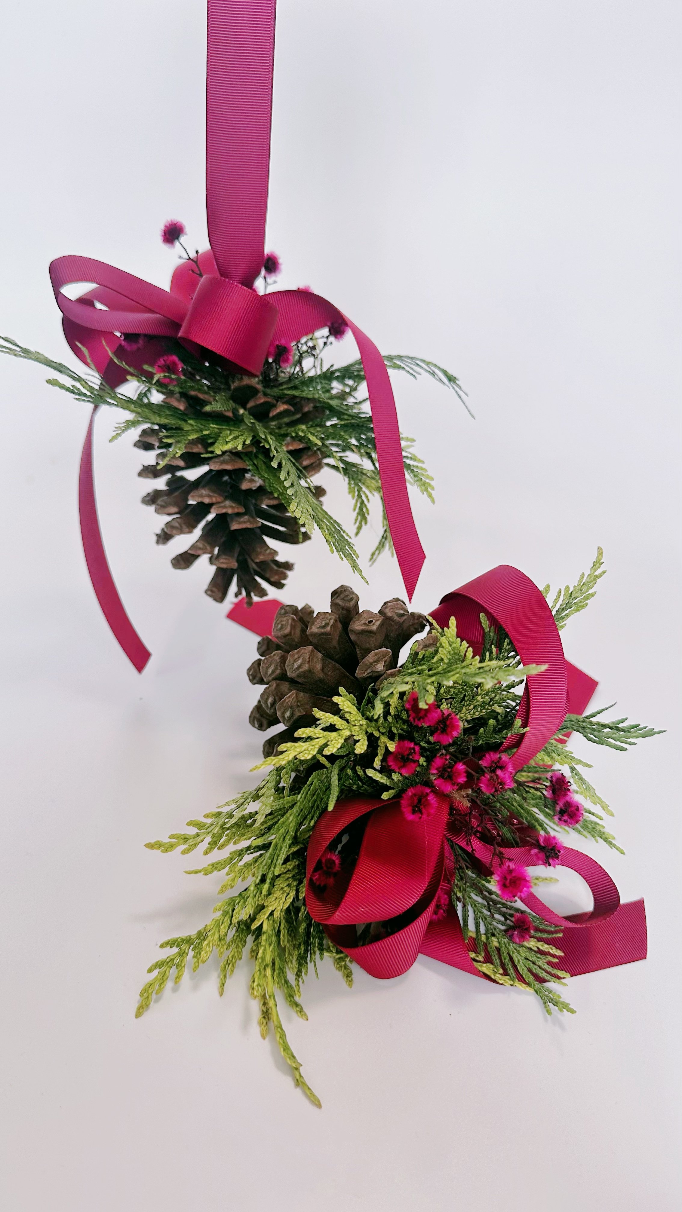 hanging pinecone1.jpg