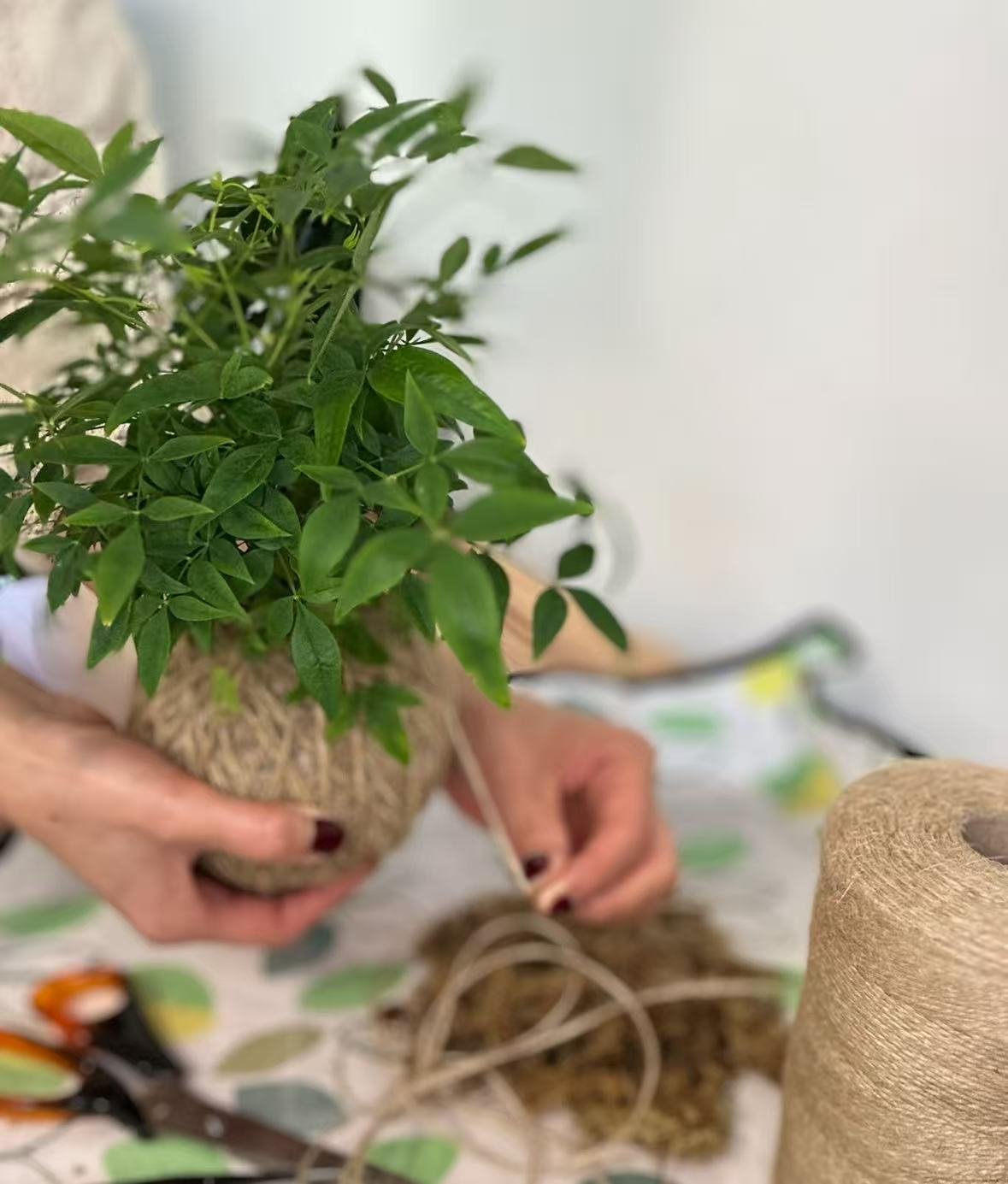 Signature Kokedama Making Workshop