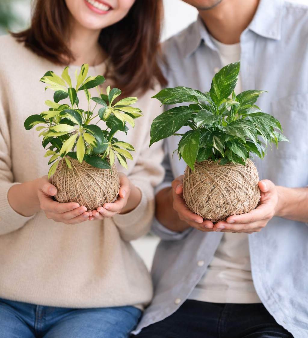 Two people holding kokedamas smiling, indoors.