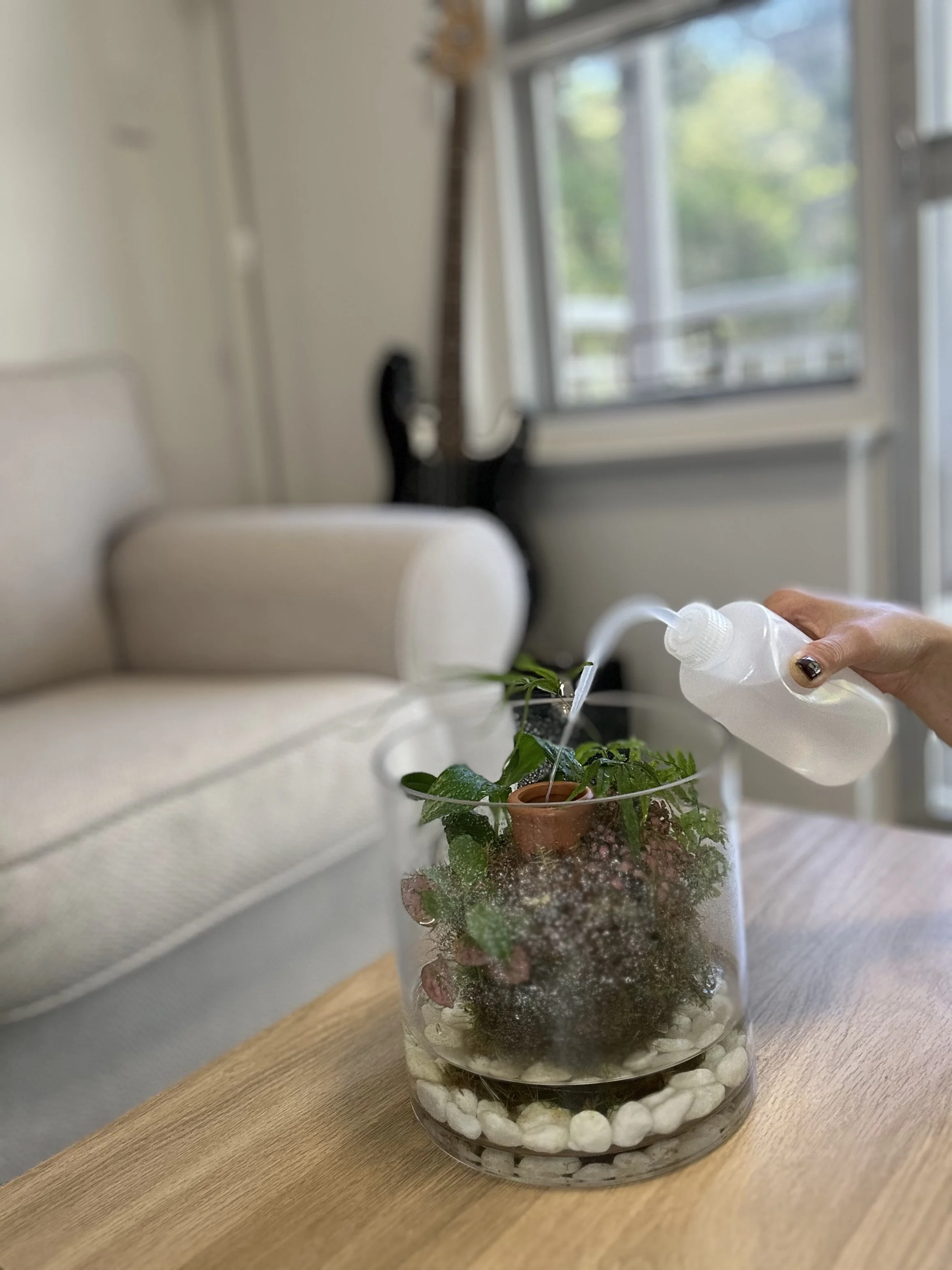 Self-Watering Moss Garden