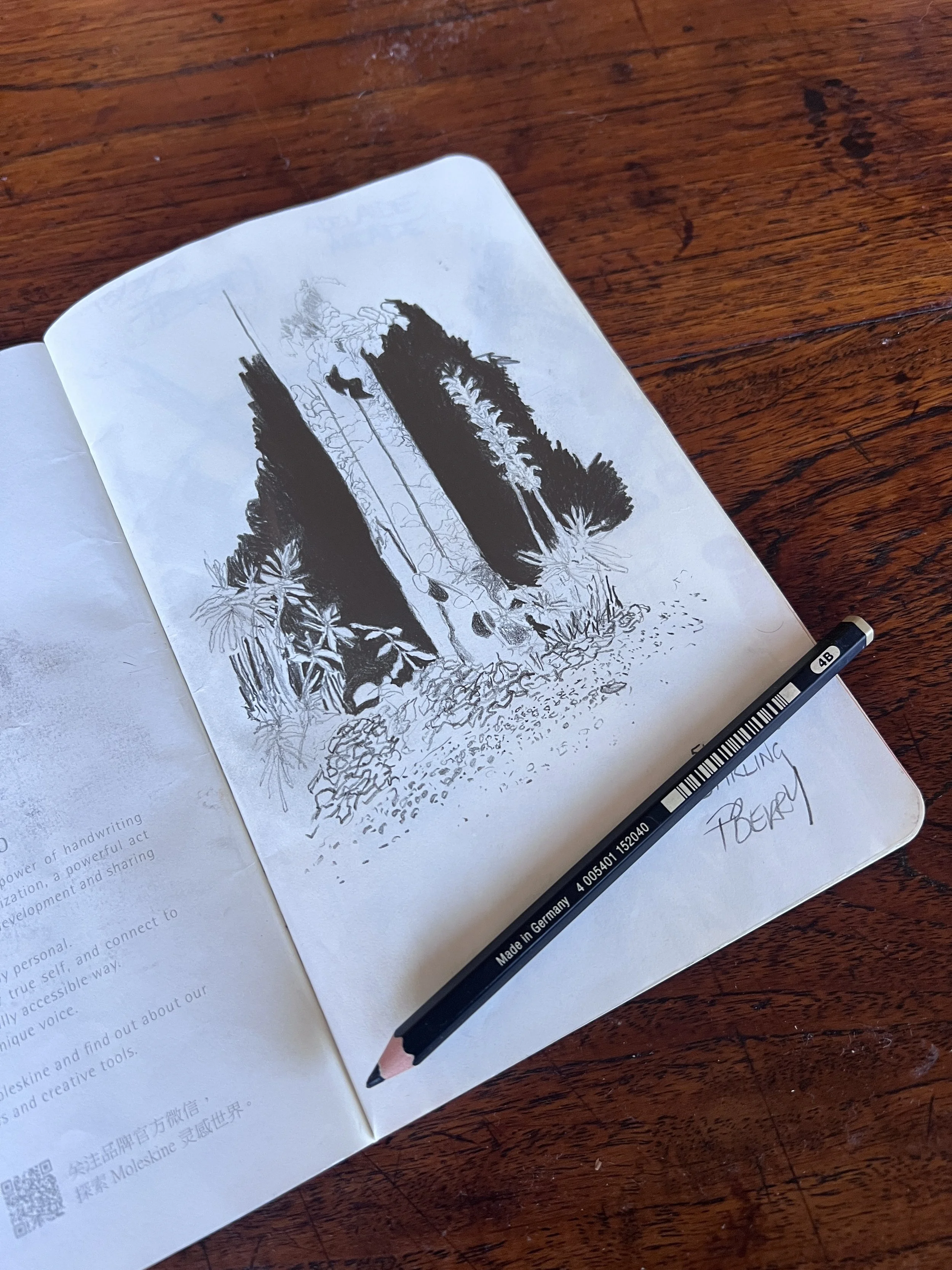 Catching a wave of inspiration