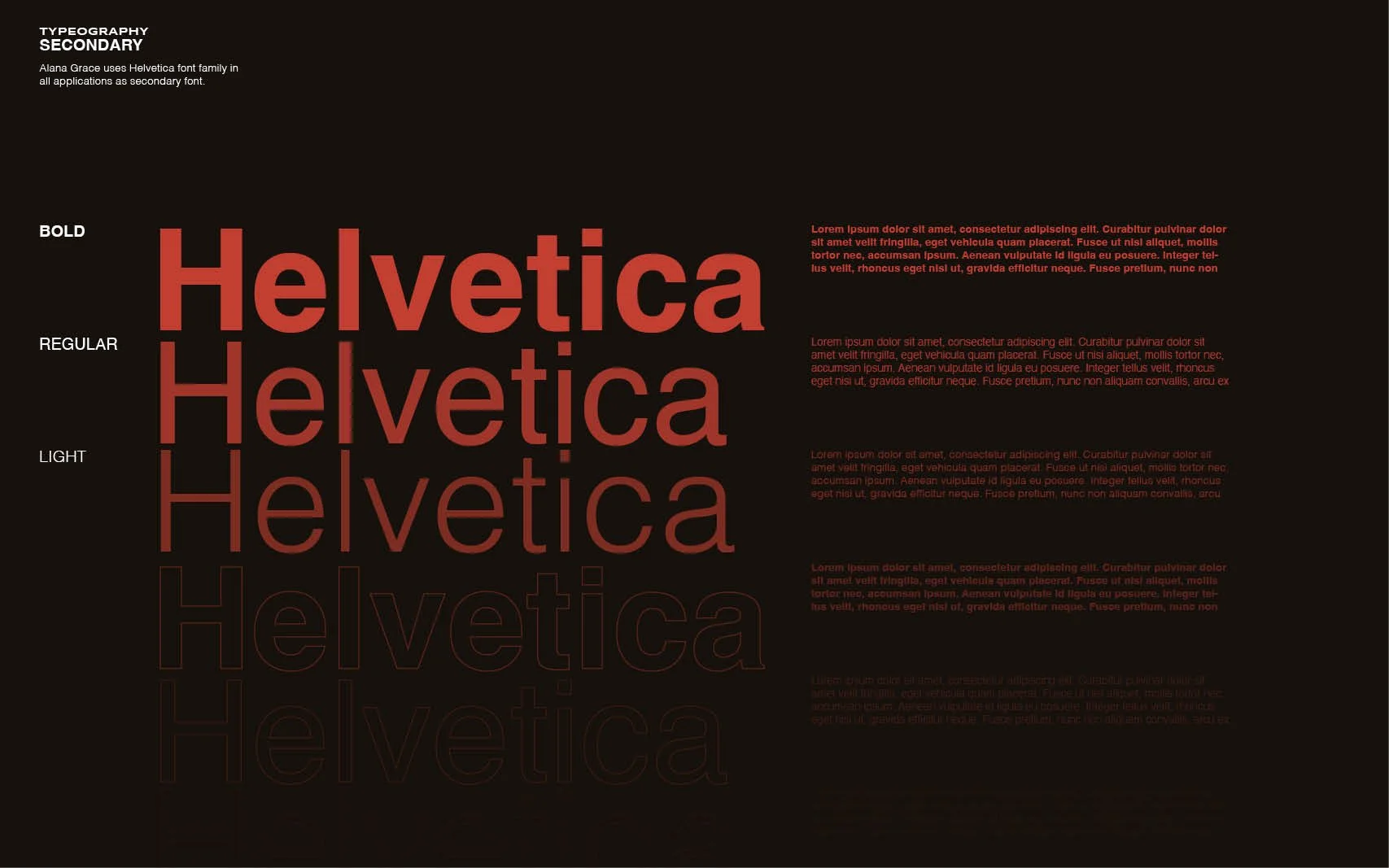 BRAND GUIDELINES11.jpg