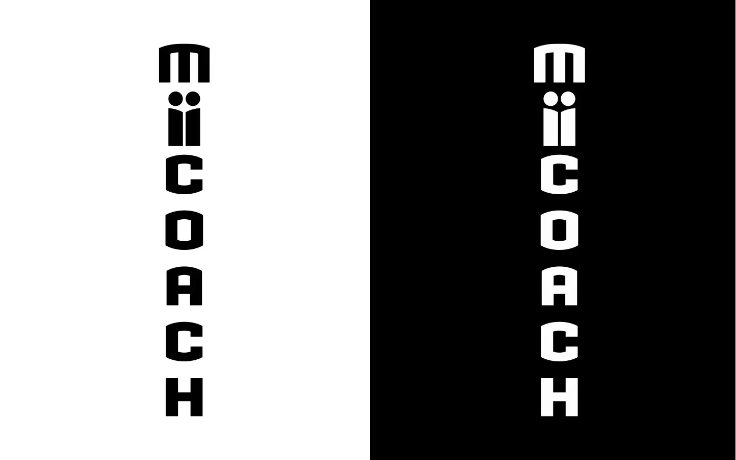 MiiCoach+4.webp