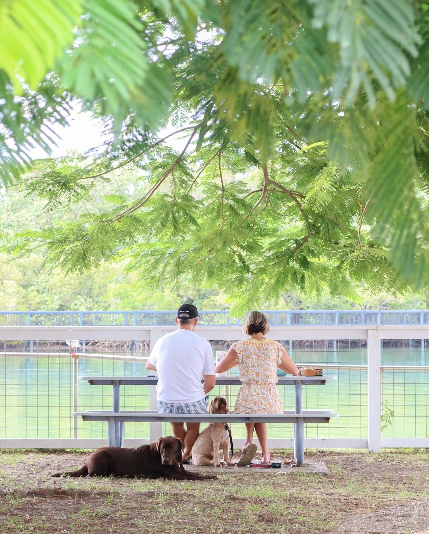Coffee tastes better when you slow down. ☕🌿 Find a seat, enjoy the view, and bring your furry friends along at Dayo 🩵🐾

#dayocafe #petfriendly #dogfriendly #relaxing