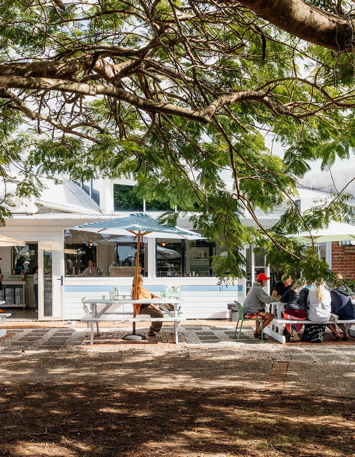 People seated at outdoor tables under a large tree with green leaves in front of a white building, enjoying a sunny day.