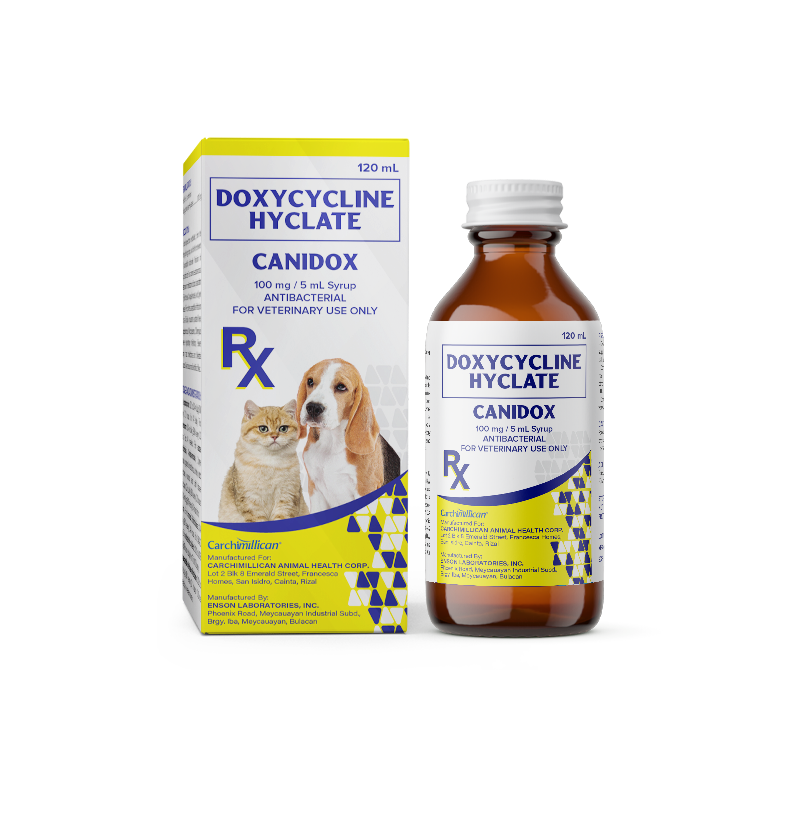 CANIDOX Syrup_Mockup.png
