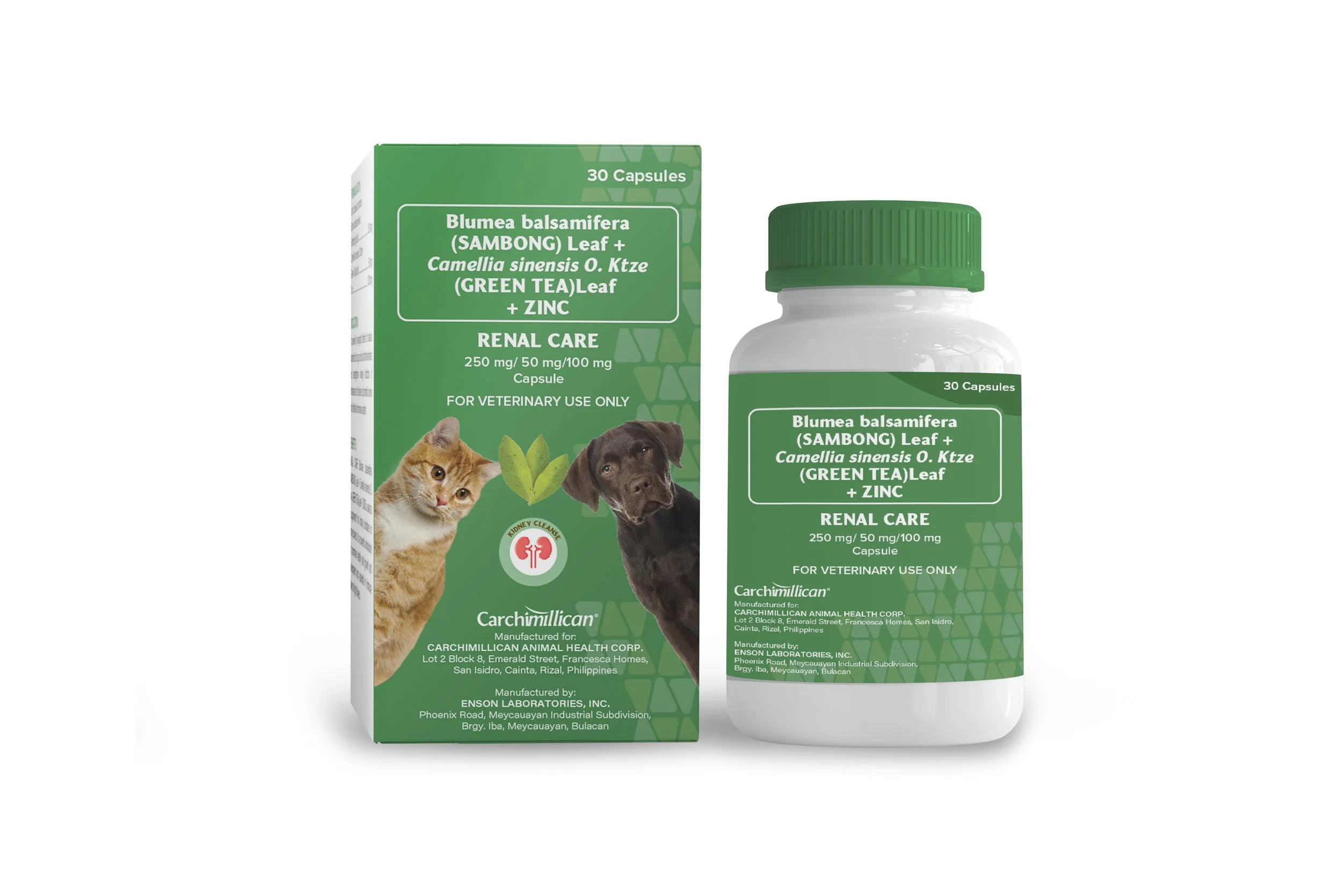 RENAL CARE_CAPSULE-MOCKUP.jpg