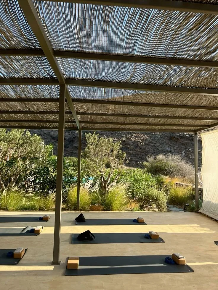 @namasophie (1).jpeg