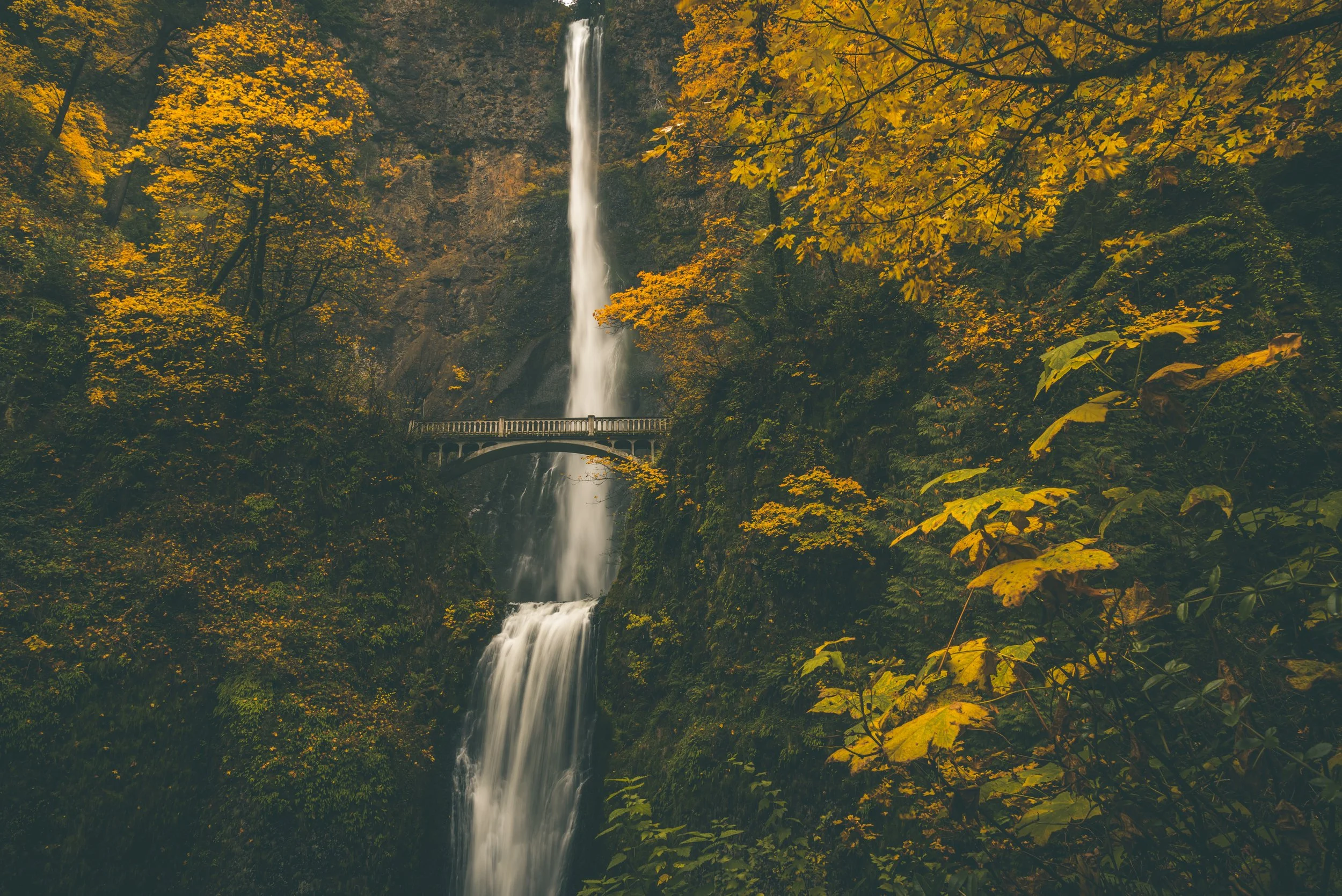 A waterfall surrounded by autumn trees with yellow and orange leaves, a bridge crossing the waterfall, and a misty atmosphere.