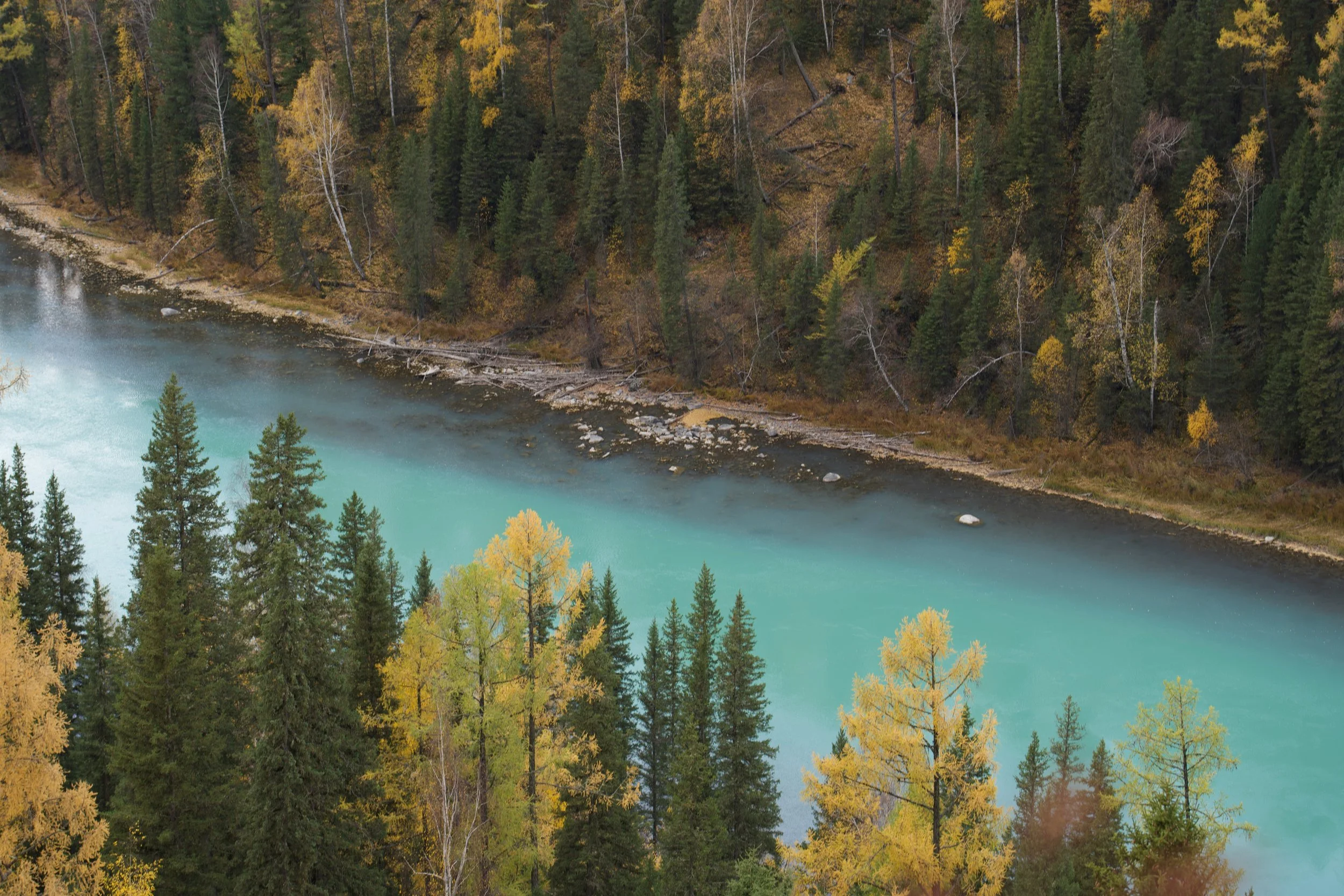 Aerial view of a river flowing through a forest with autumn-colored trees.