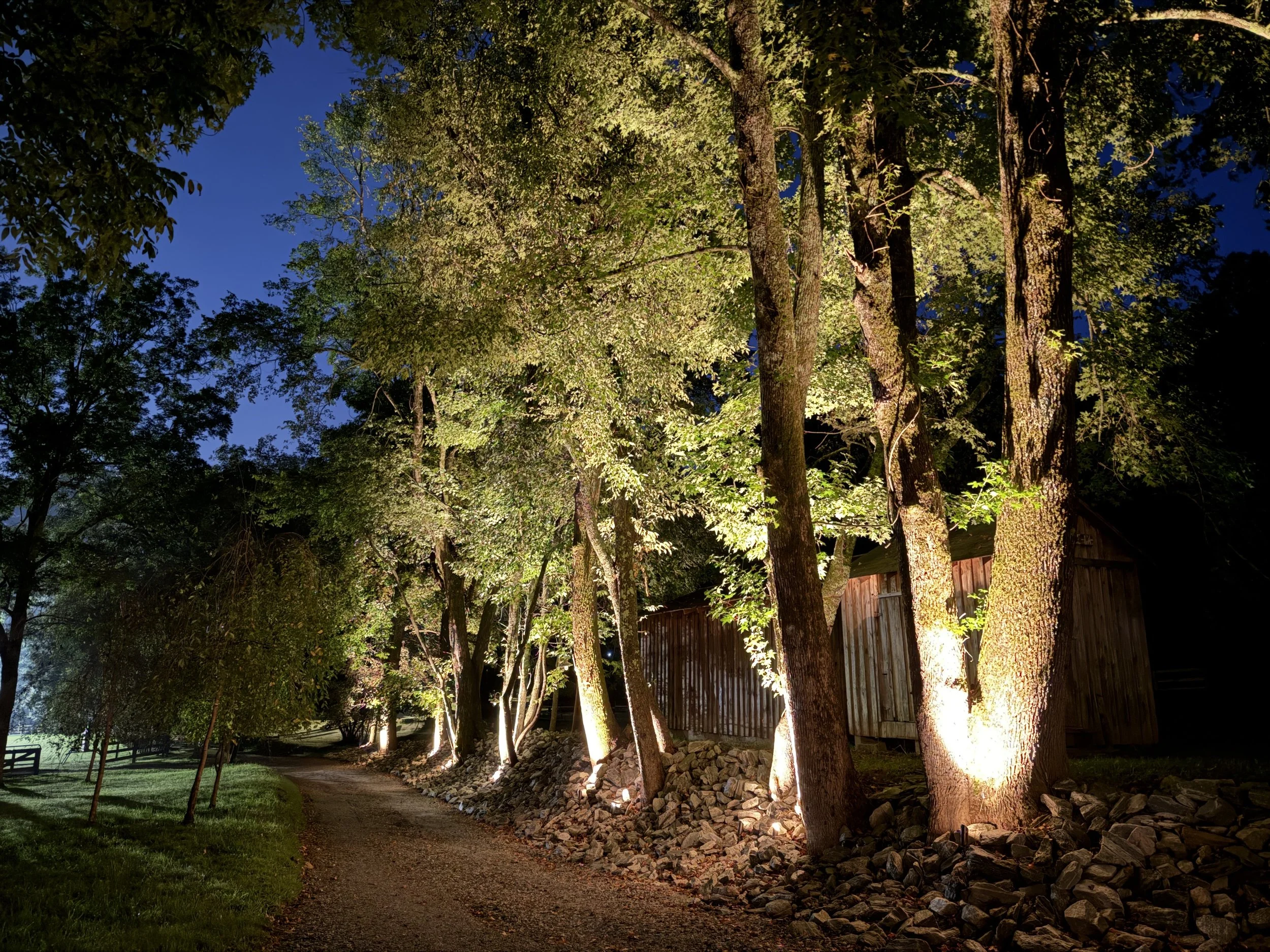 A winding dirt pathway bordered by grass on the left and a row of large trees on the right, illuminated by ground lights, with a wooden fence in the background, at night. Light Up Atlanta