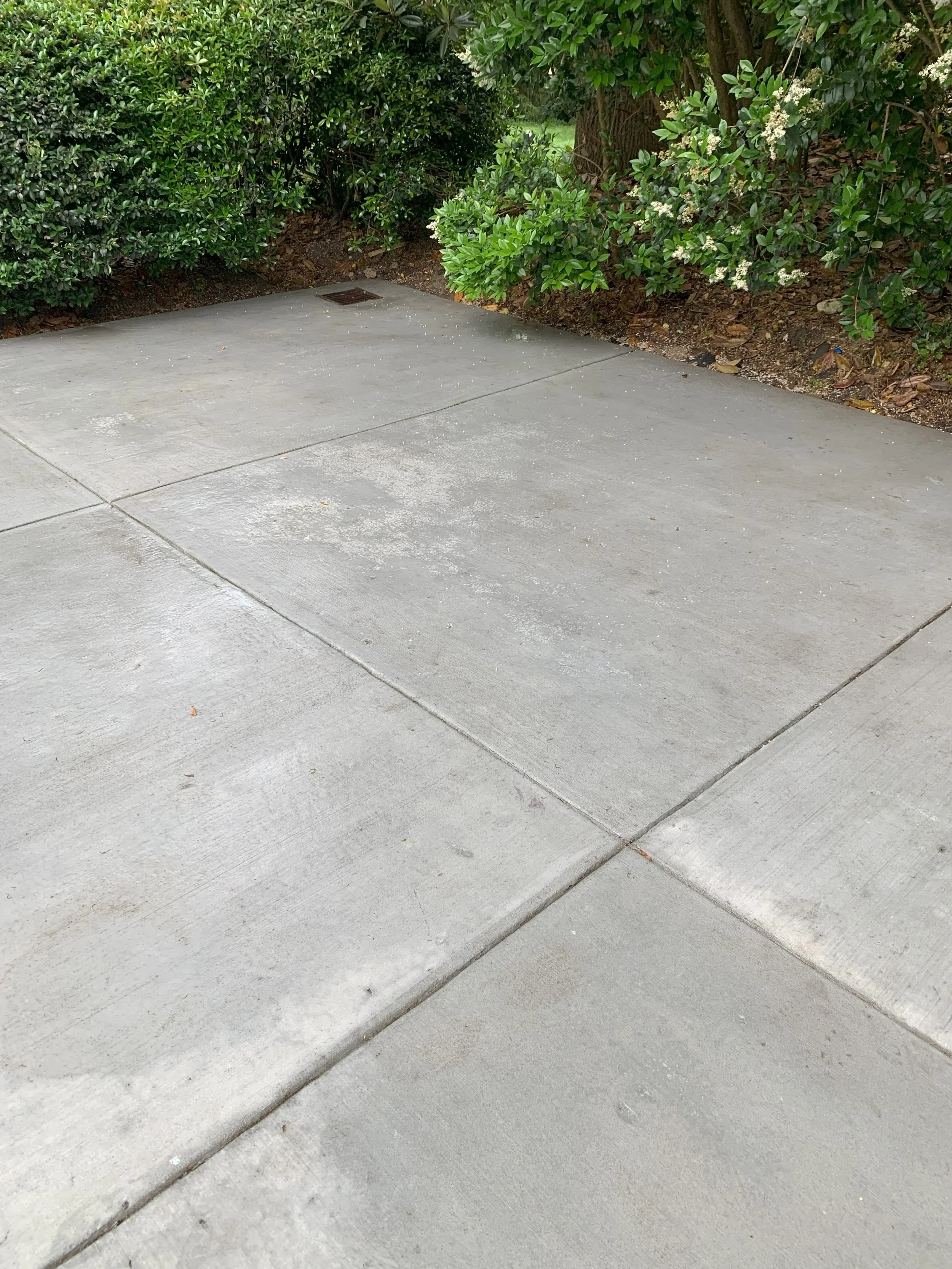 lite-up-atlanta_surface_cleaner_pressure_wash_muir.jpg
