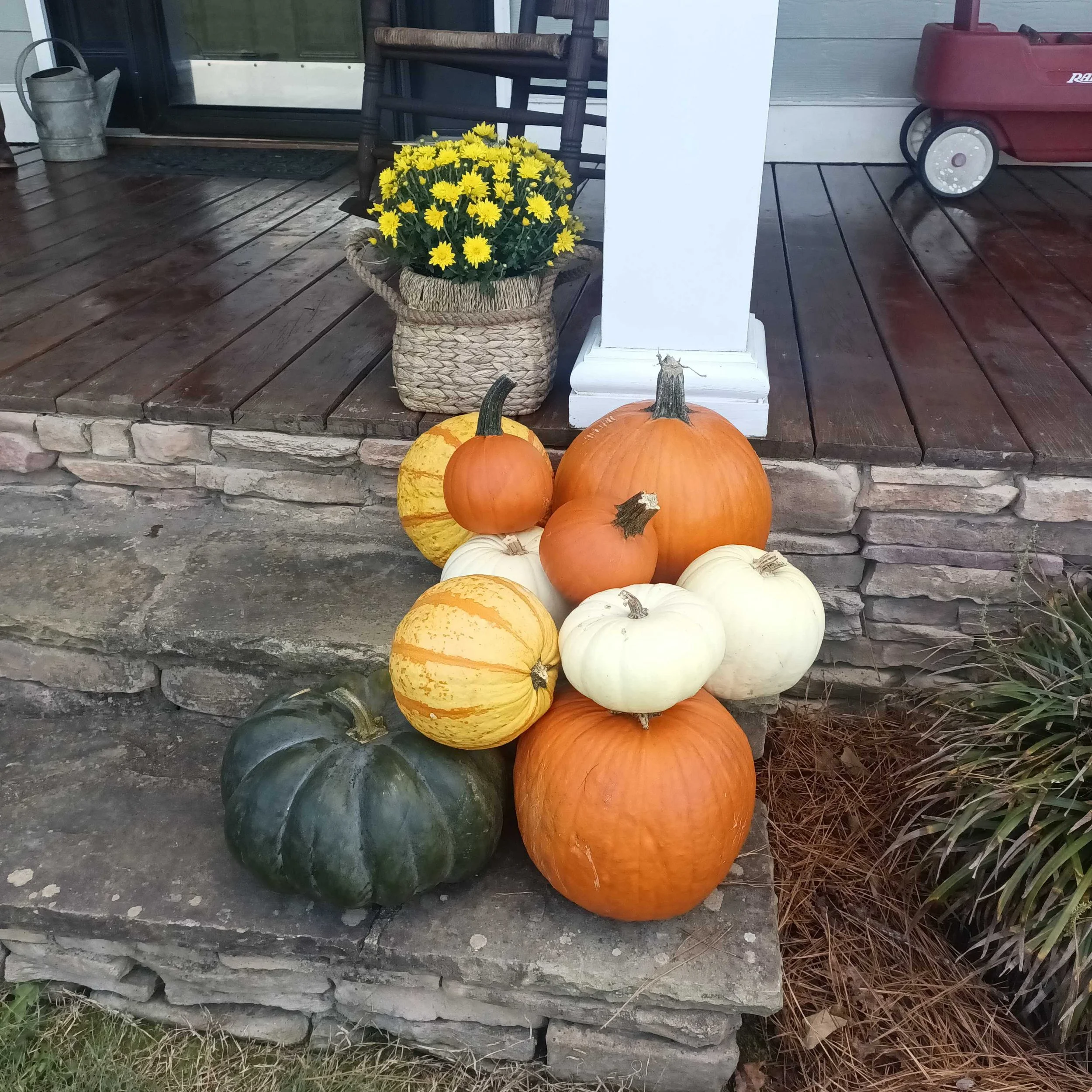 A variety of pumpkins and gourds arranged on a stone step in front of a porch, with a potted yellow flower and a red wagon in the background.