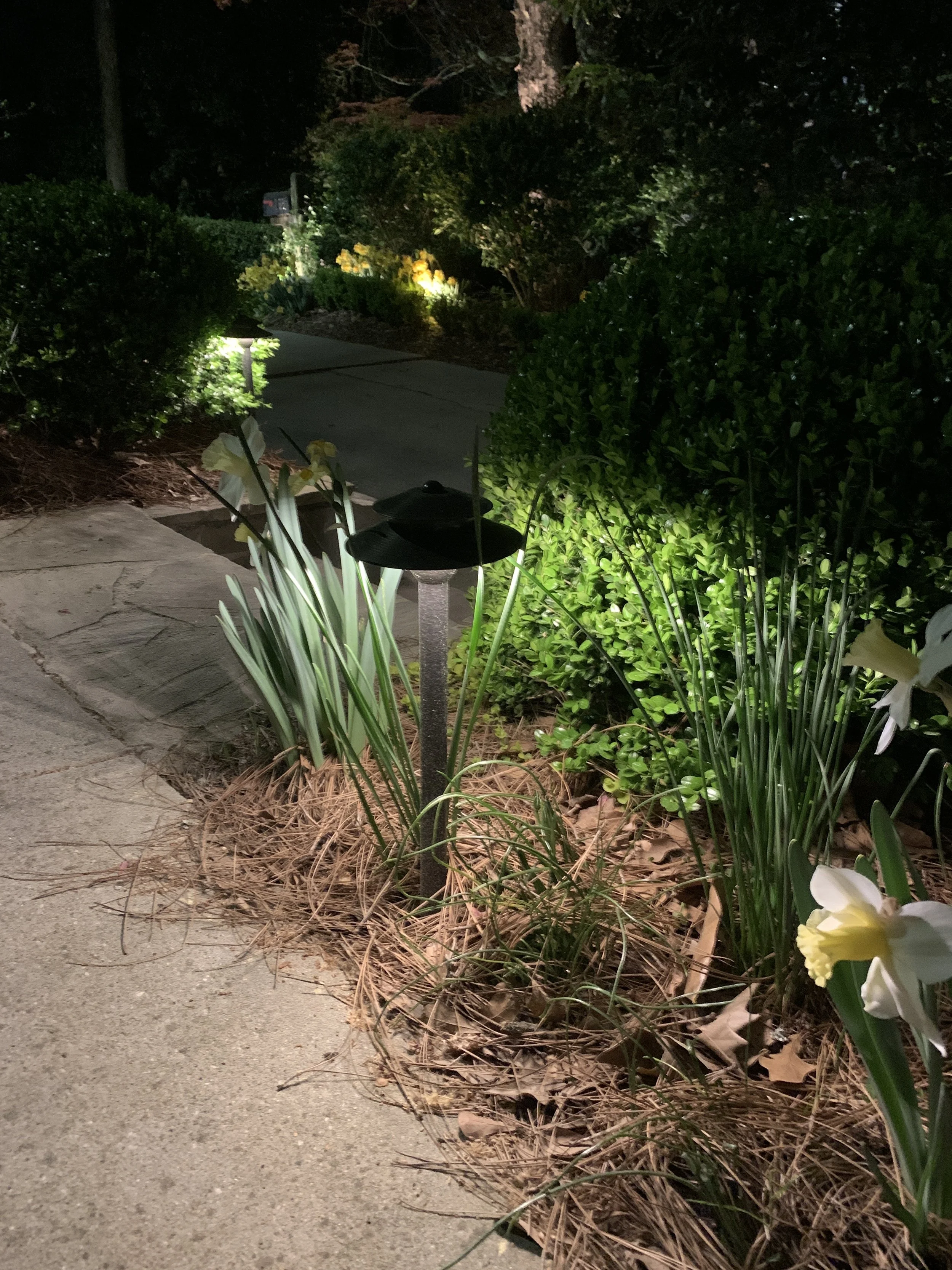 Nighttime scene of a garden pathway illuminated by outdoor lights, with bushes, flowers, and a small lamp post near the concrete sidewalk. Light Up Atlanta