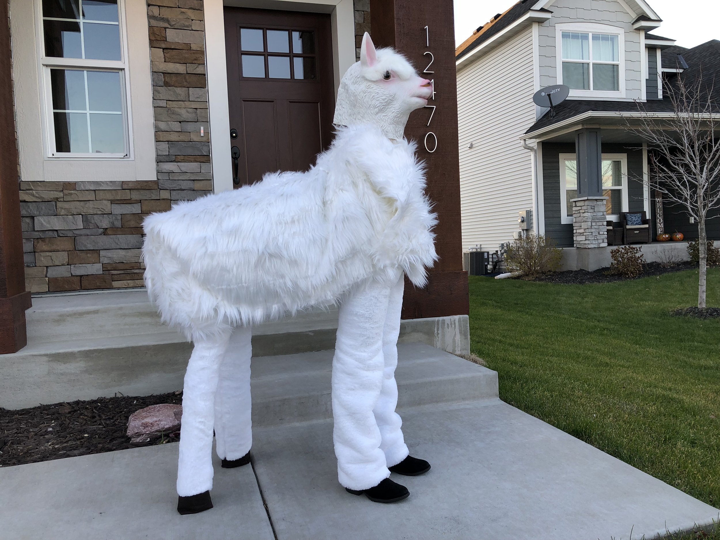 Custom Lama Costume