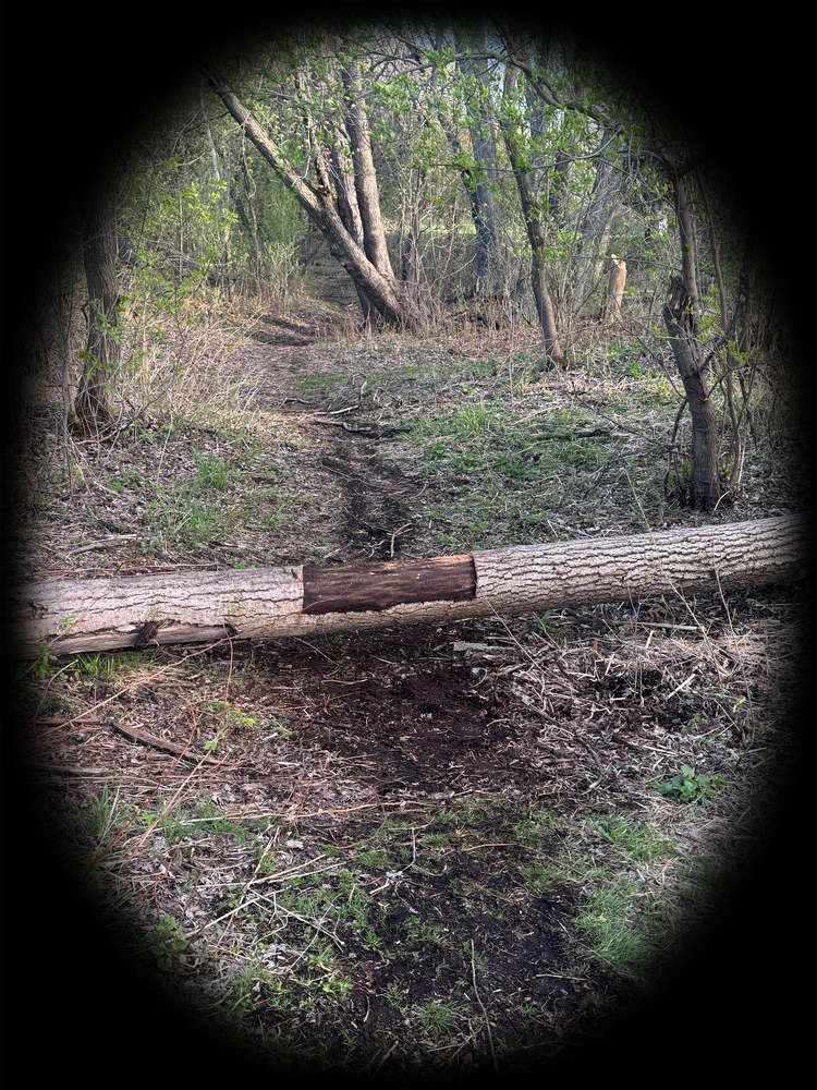 Half-stripped Shortcut