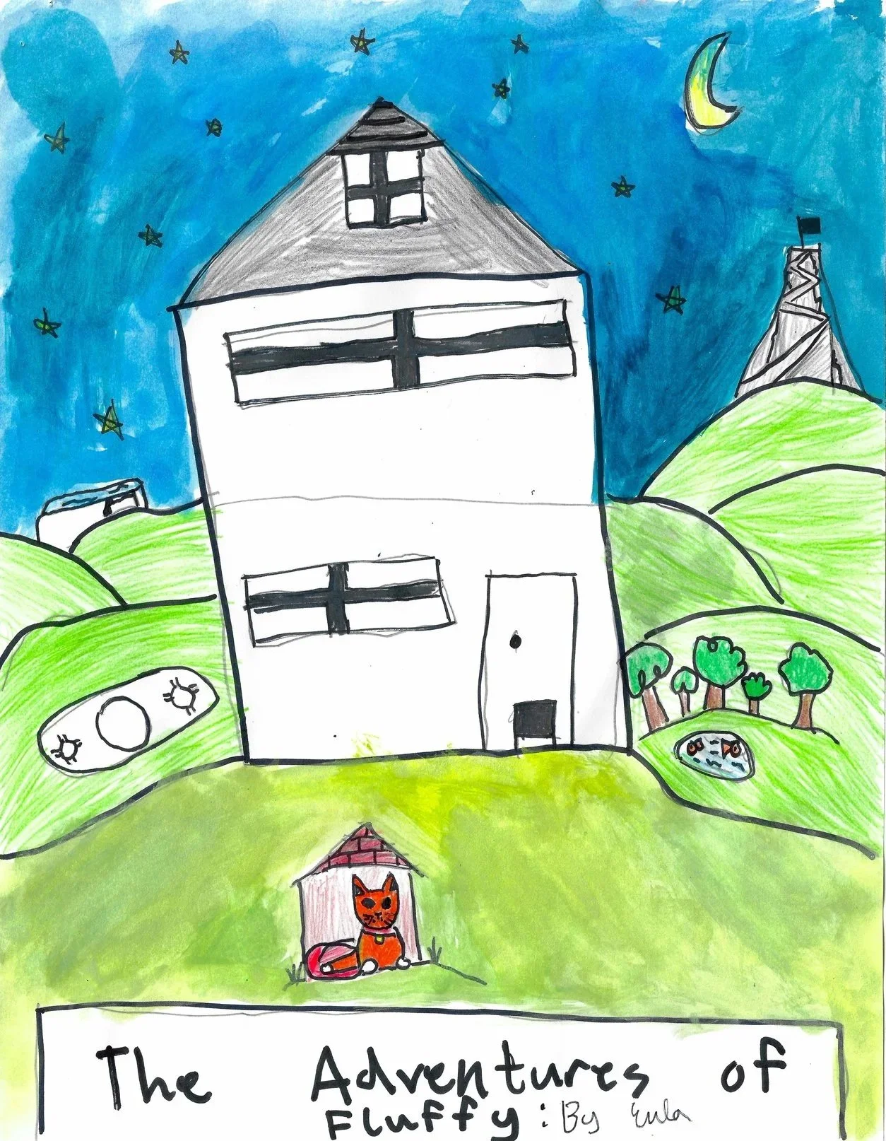 Adventures of Fluffy