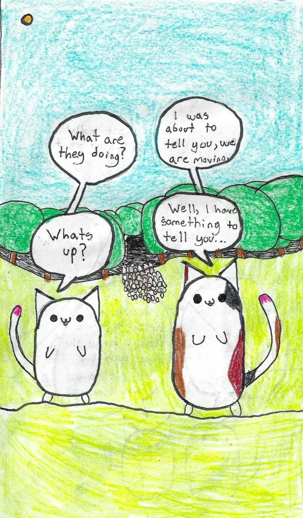 The Blake School Creative Writing Finalist