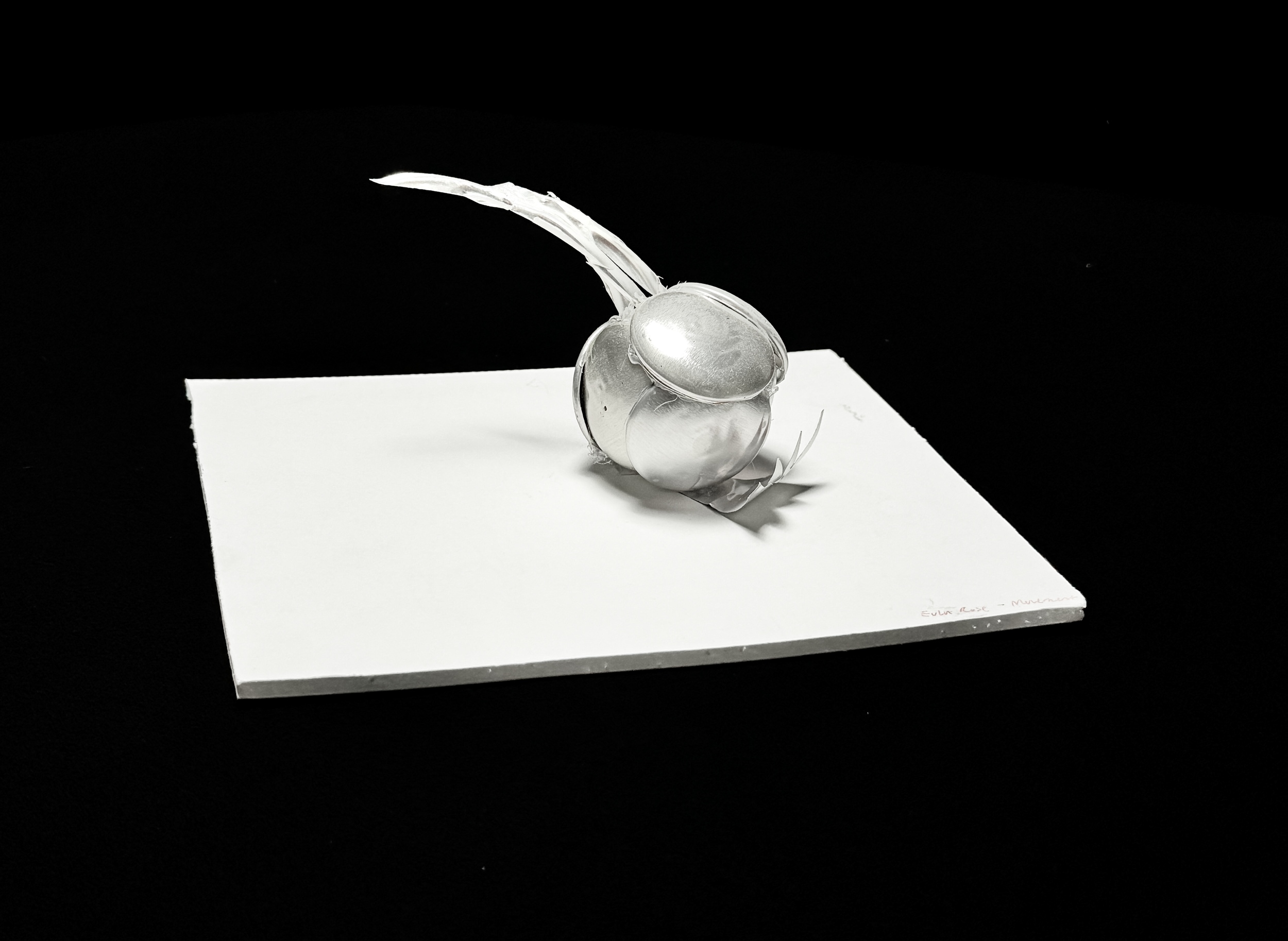 Movement of Diet Coke